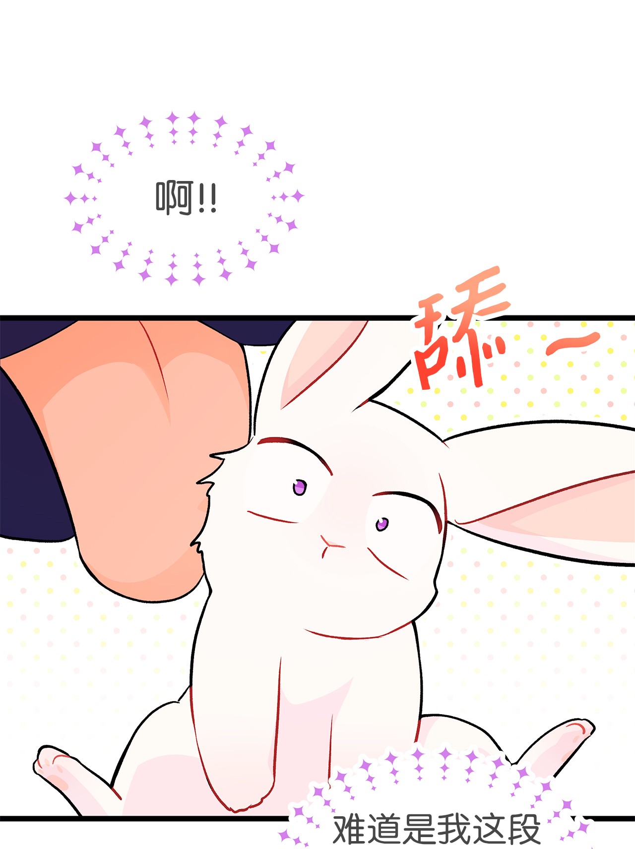 兔子与黑豹的共生关系23 菲菲只能选我