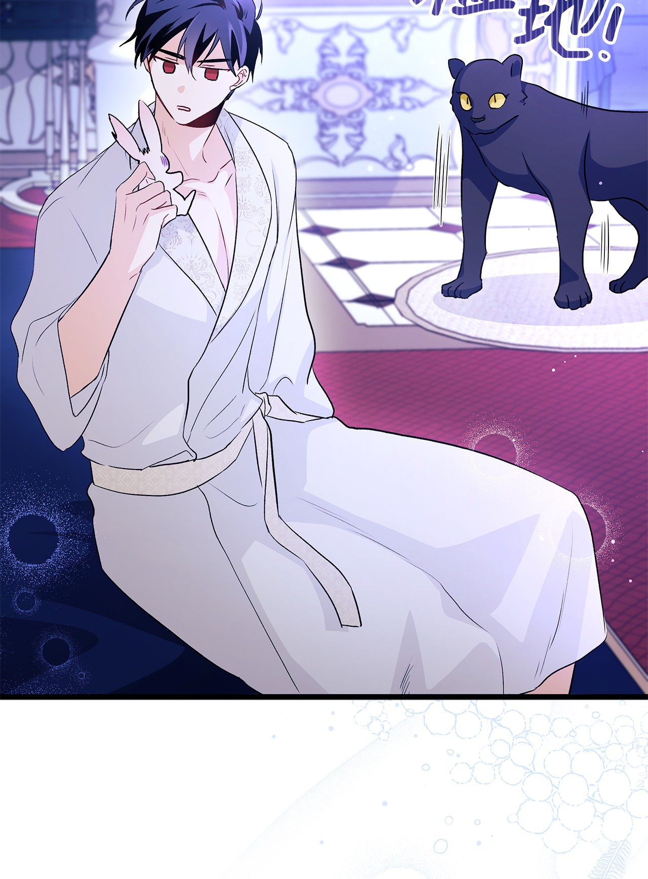 兔子与黑豹的共生关系23 菲菲只能选我