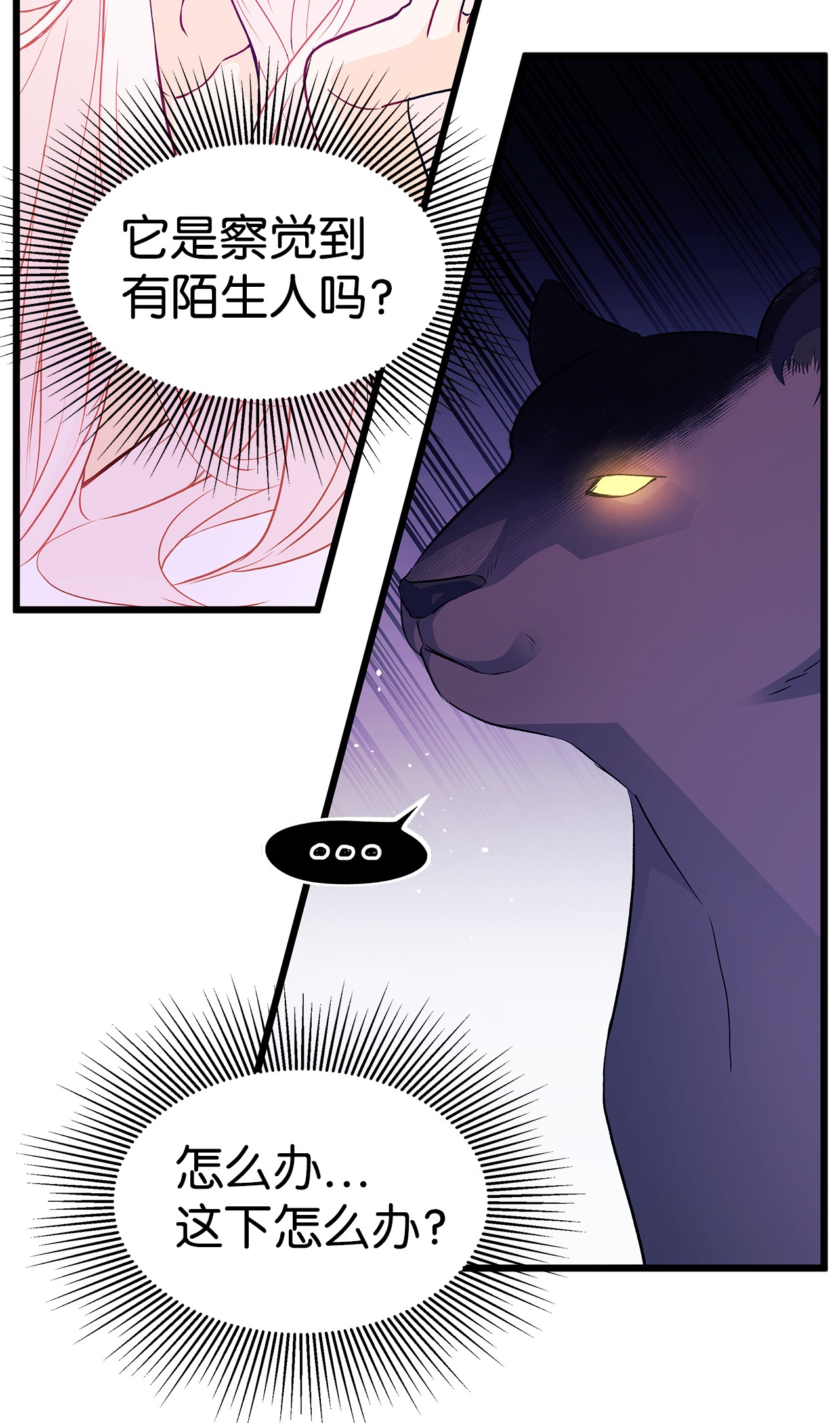 兔子与黑豹的共生关系24 信息素的用途