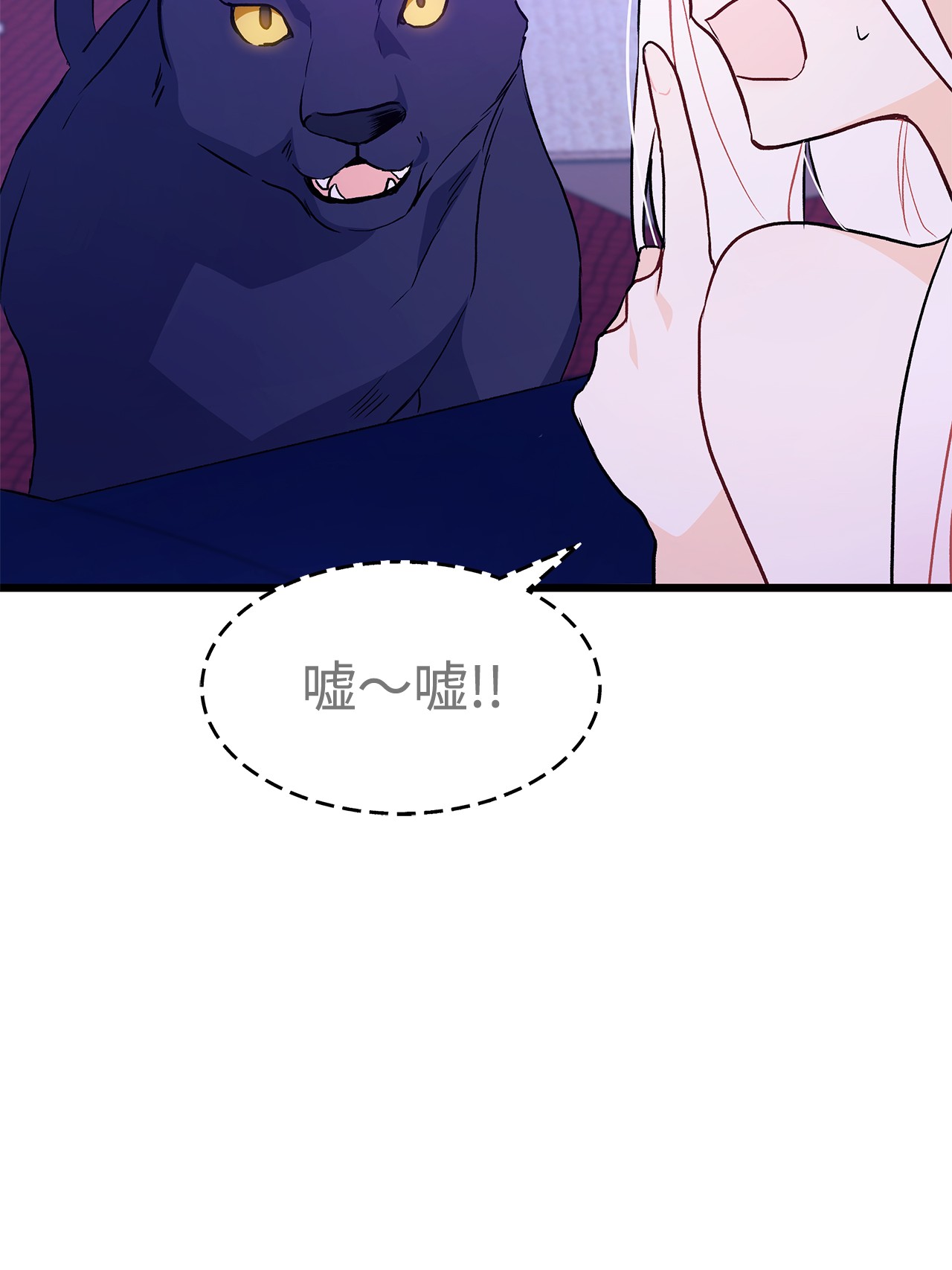 兔子与黑豹的共生关系24 信息素的用途