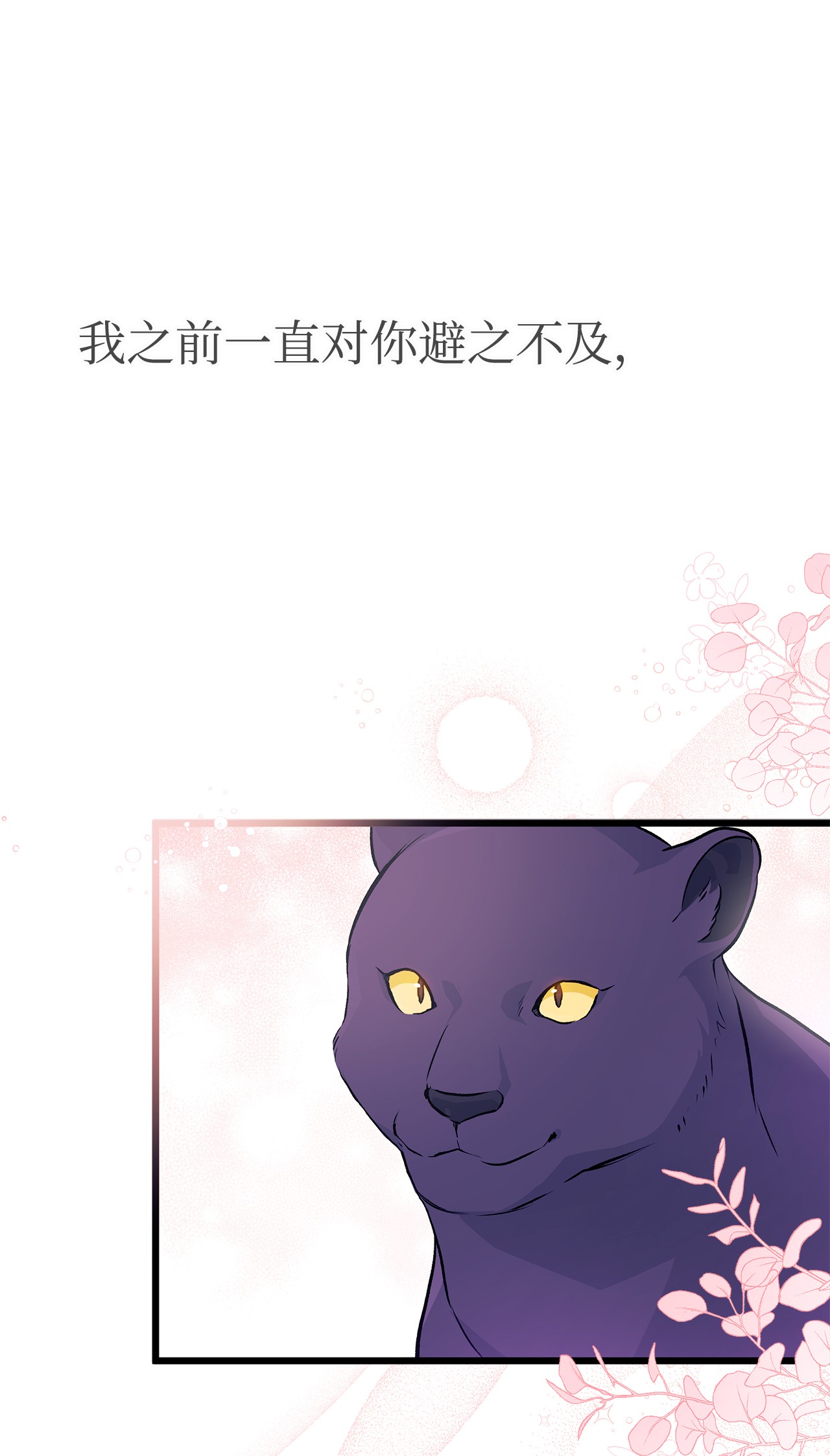 兔子与黑豹的共生关系24 信息素的用途