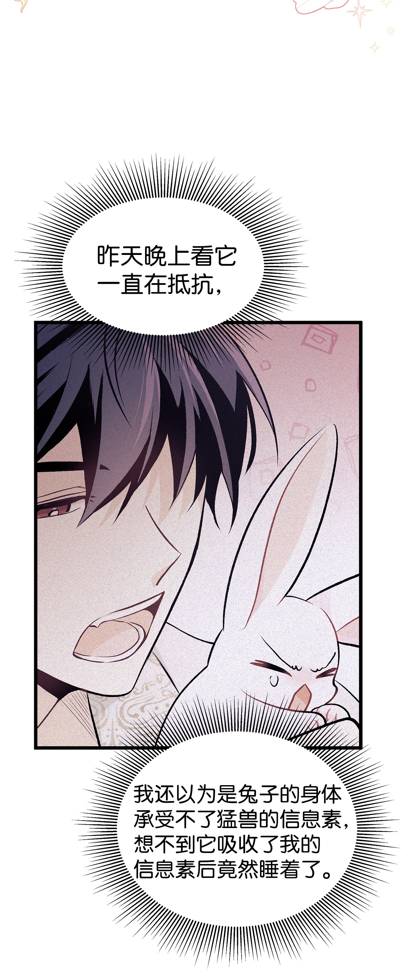 兔子与黑豹的共生关系24 信息素的用途