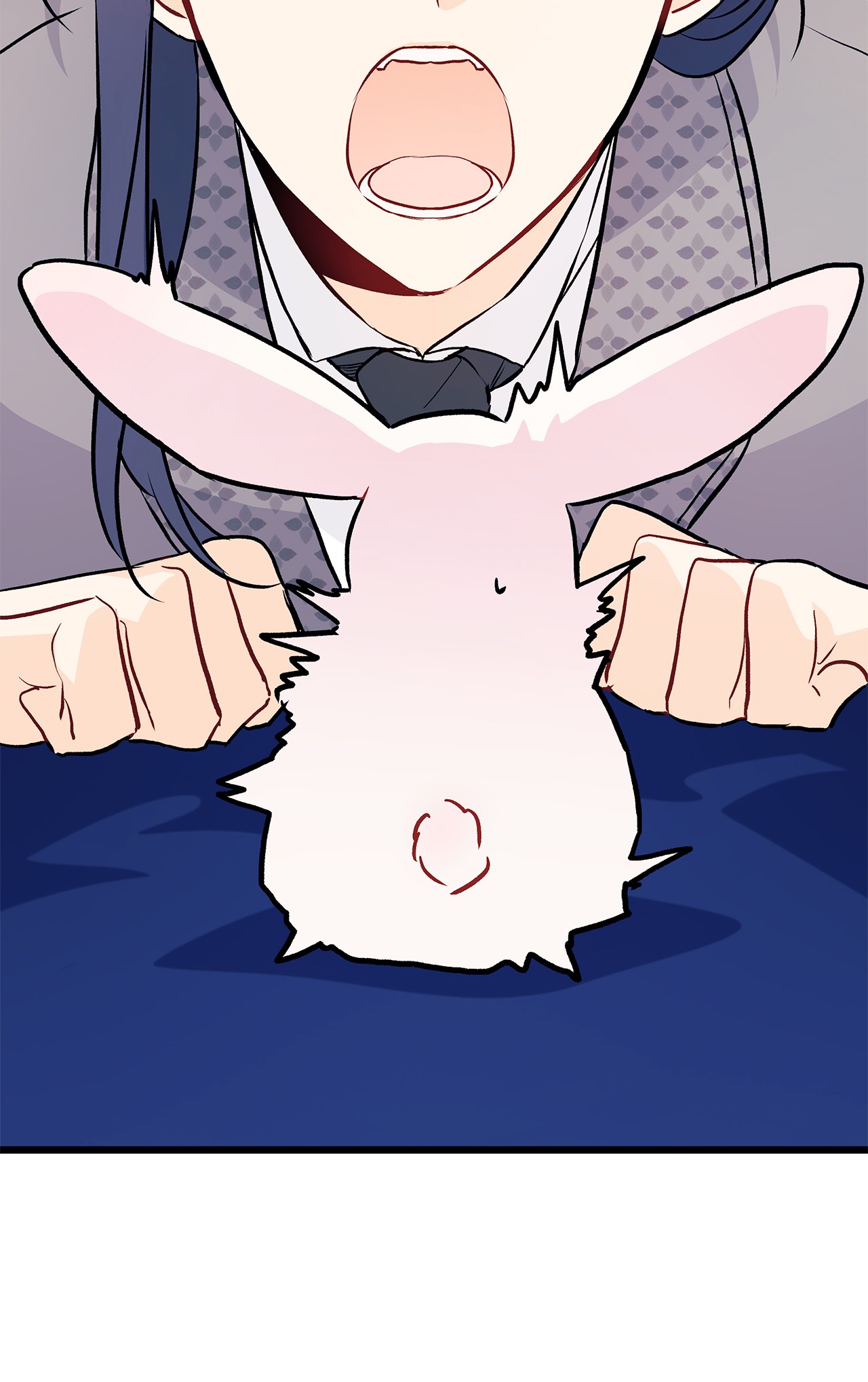 兔子与黑豹的共生关系25 兔兔会变禽兽