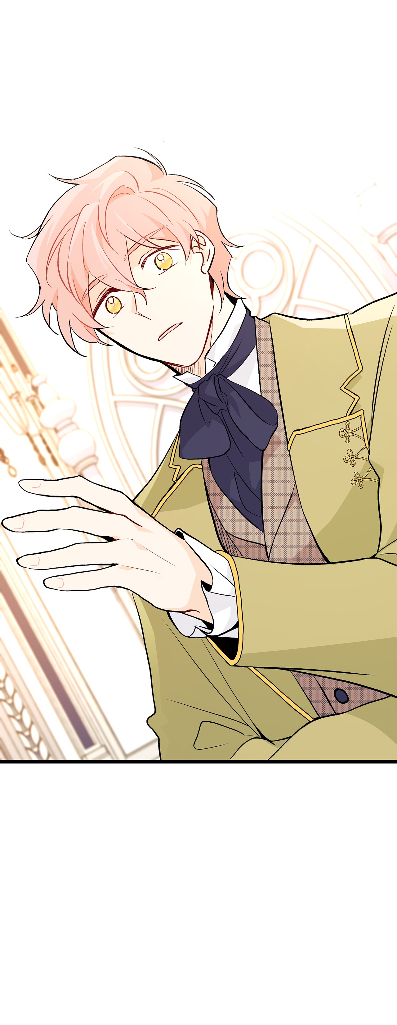 兔子与黑豹的共生关系26 狮子的私心