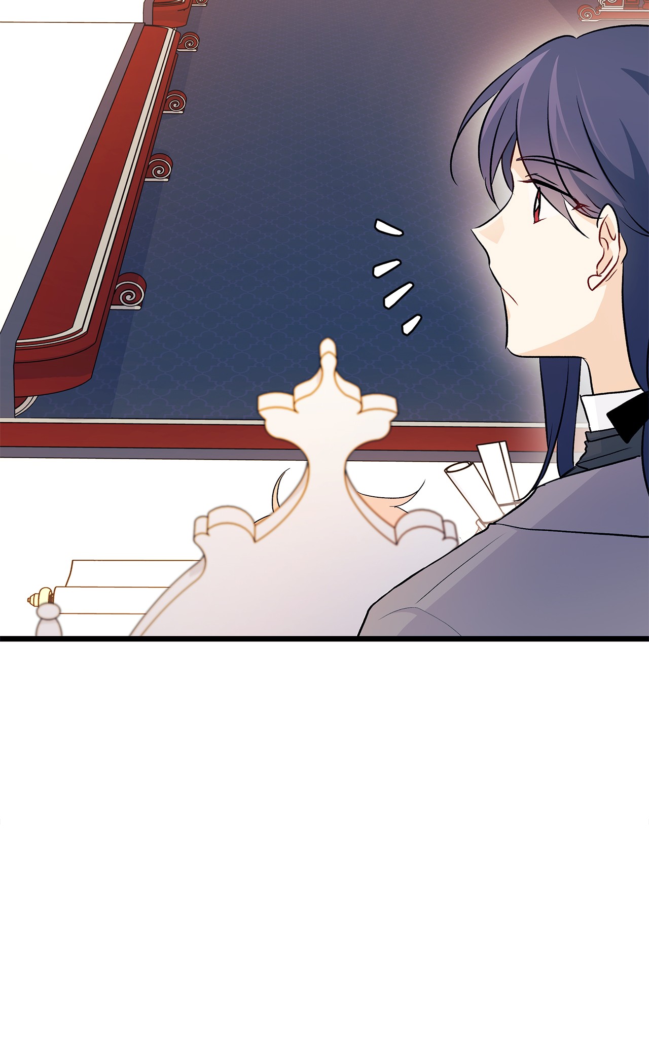 兔子与黑豹的共生关系26 狮子的私心