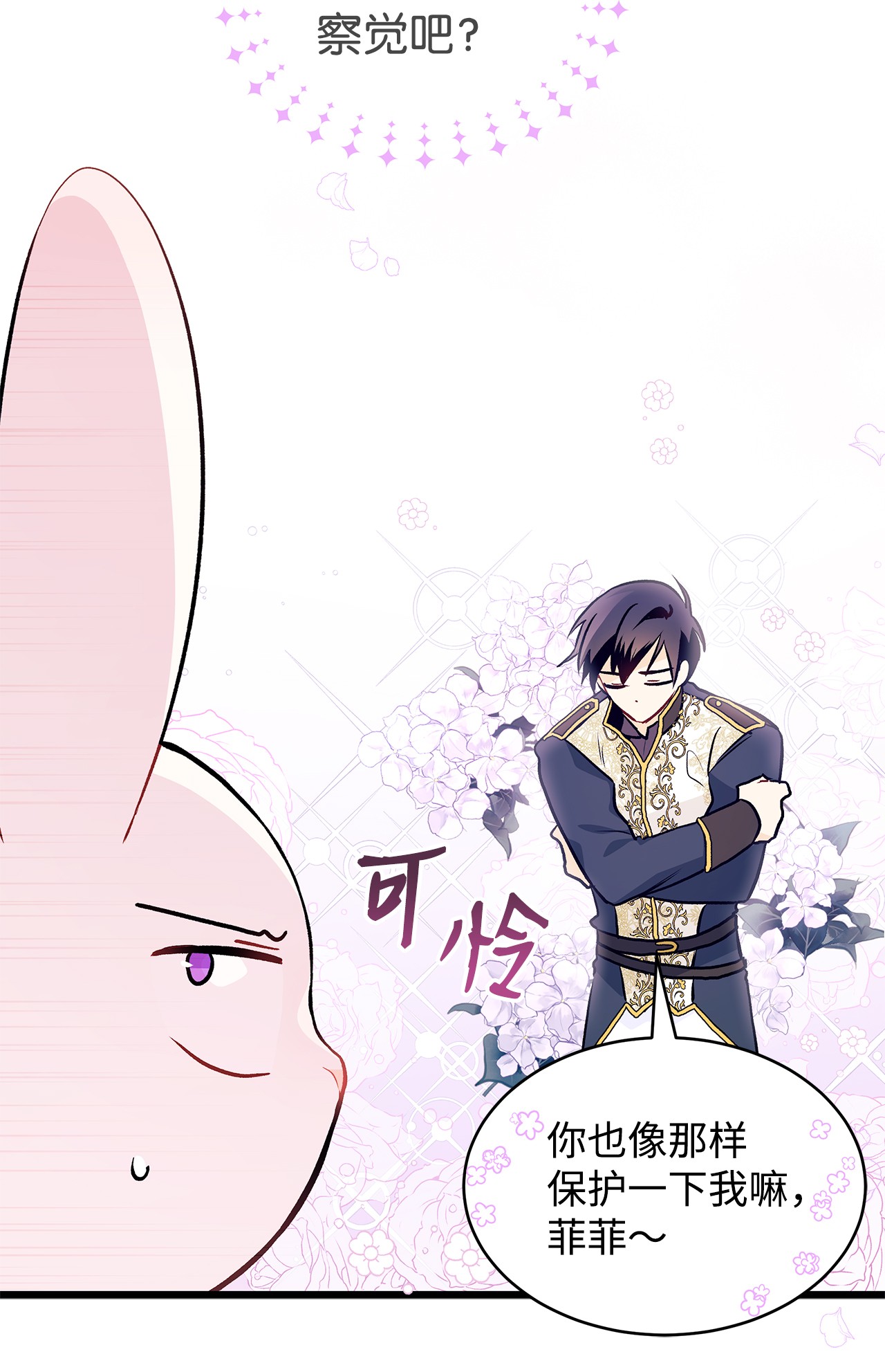 兔子与黑豹的共生关系26 狮子的私心