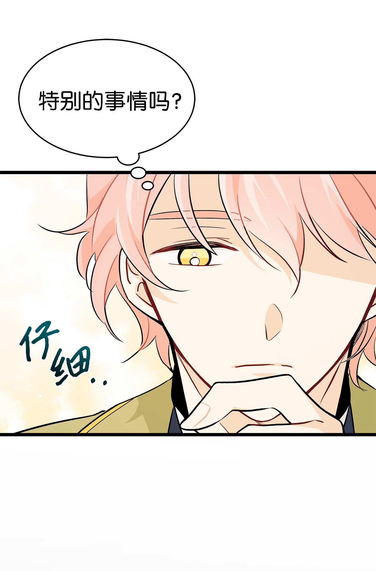 兔子与黑豹的共生关系26 狮子的私心