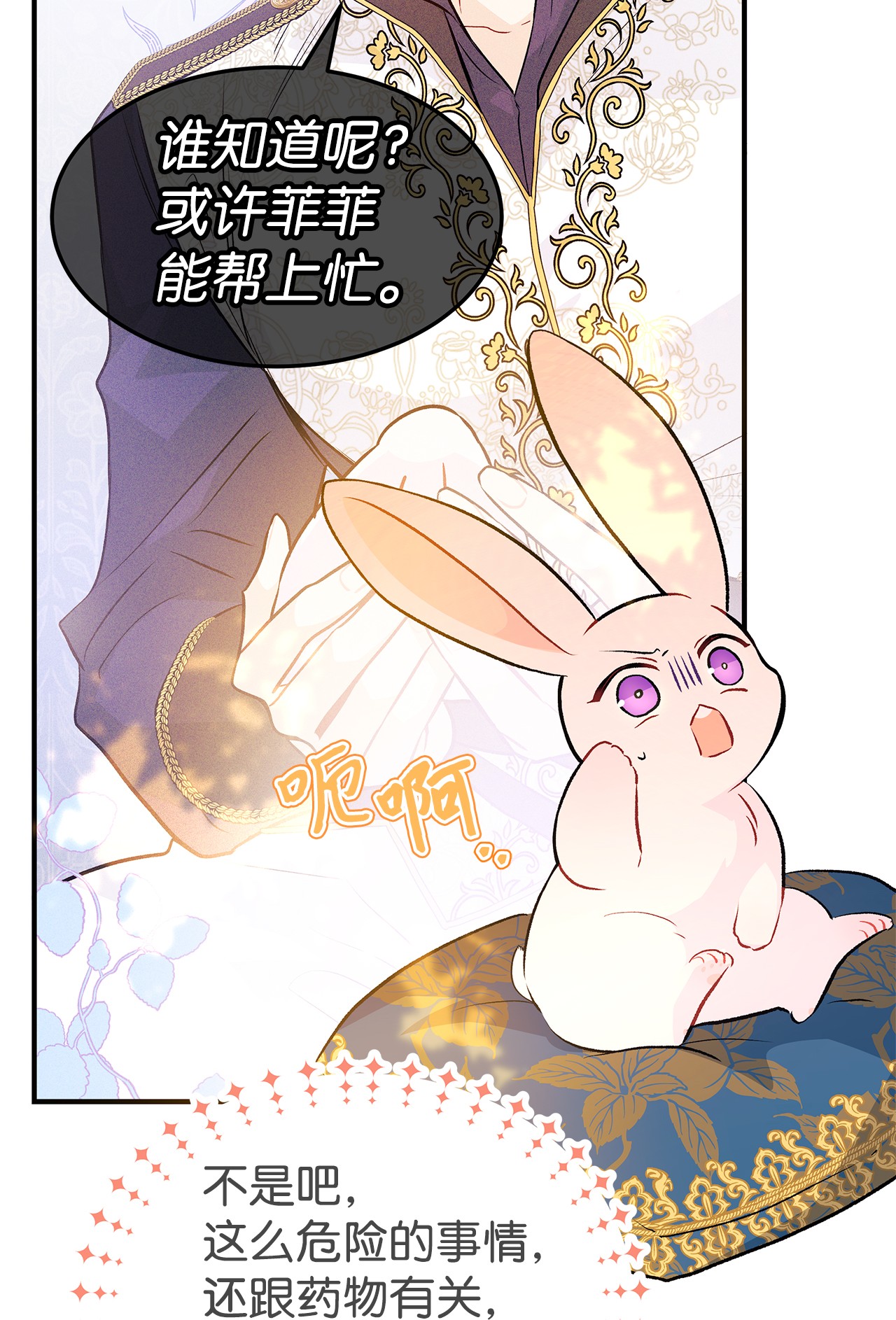 兔子与黑豹的共生关系26 狮子的私心