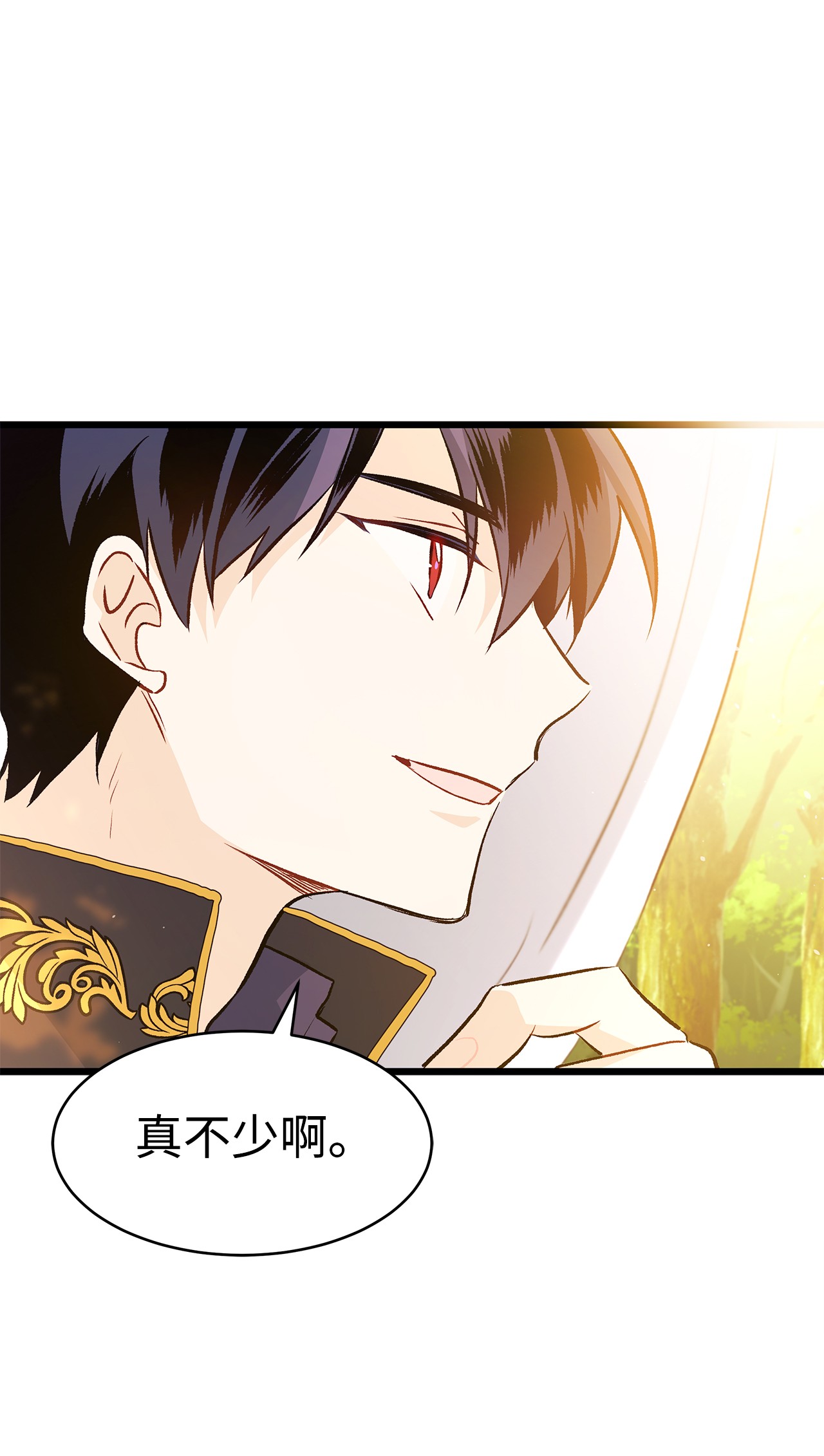 兔子与黑豹的共生关系26 狮子的私心