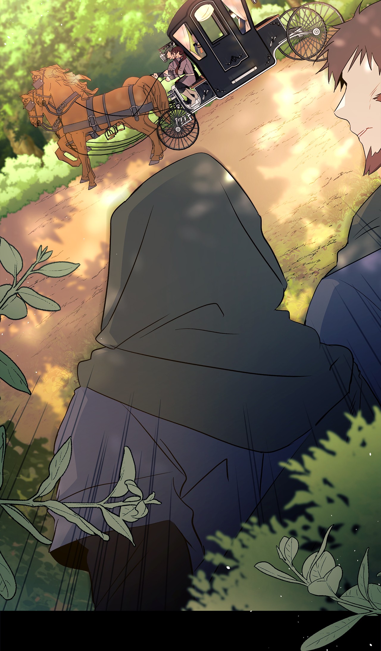 兔子与黑豹的共生关系27 兔子又跑了