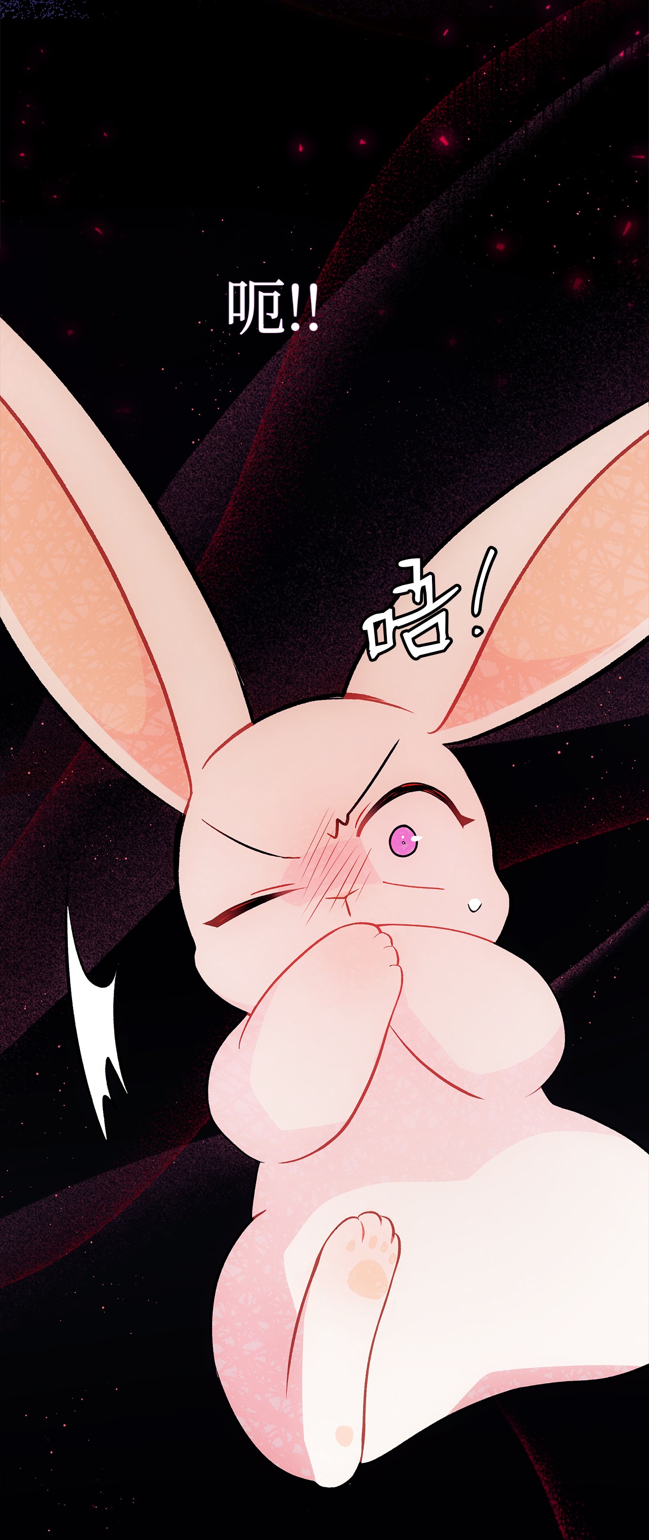 兔子与黑豹的共生关系27 兔子又跑了