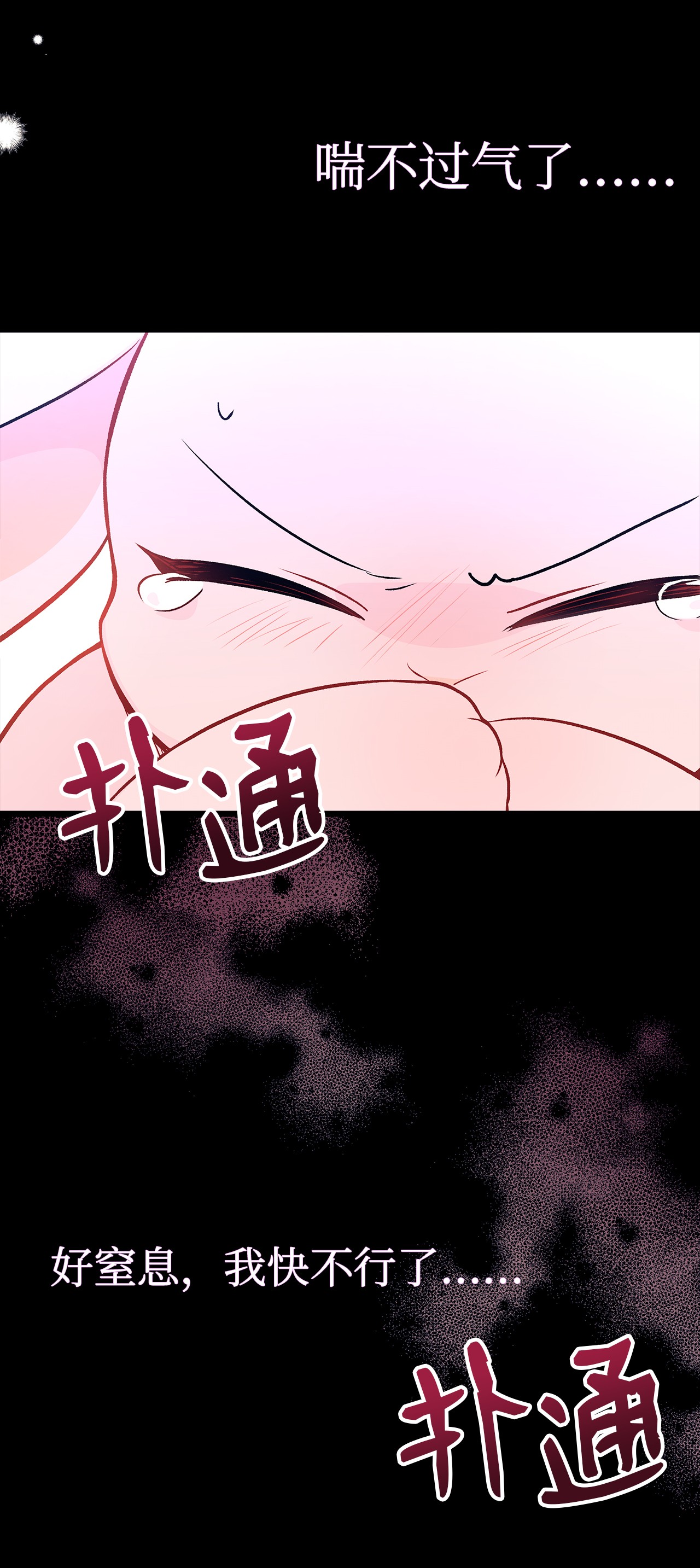 兔子与黑豹的共生关系27 兔子又跑了