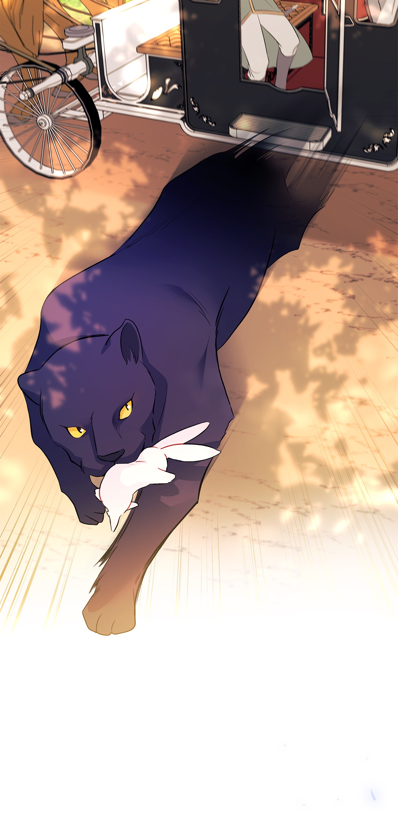 兔子与黑豹的共生关系27 兔子又跑了