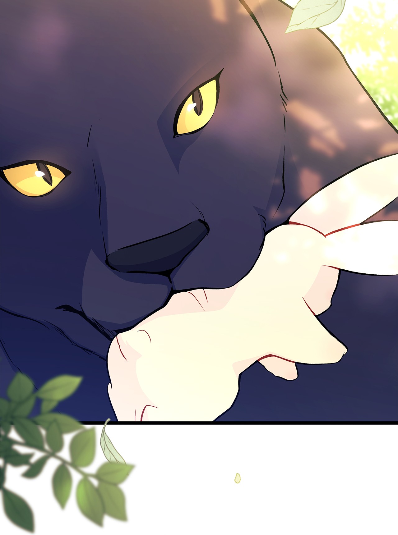 兔子与黑豹的共生关系27 兔子又跑了