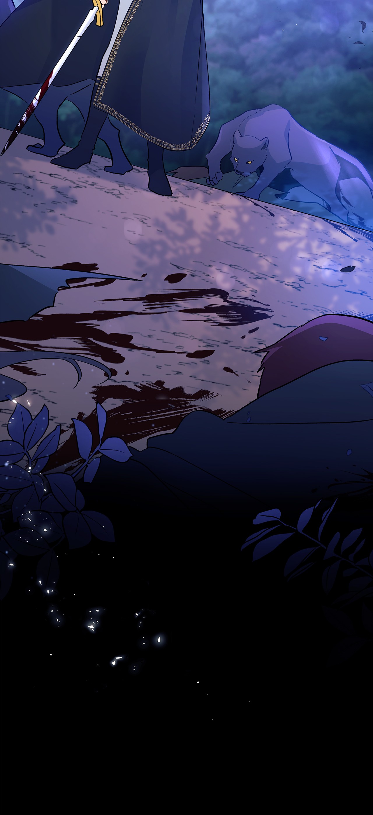 兔子与黑豹的共生关系29 我这么柔弱