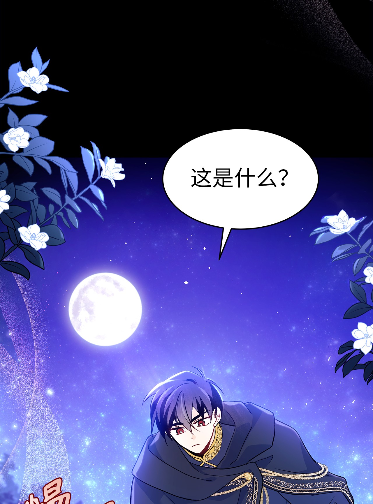 兔子与黑豹的共生关系29 我这么柔弱