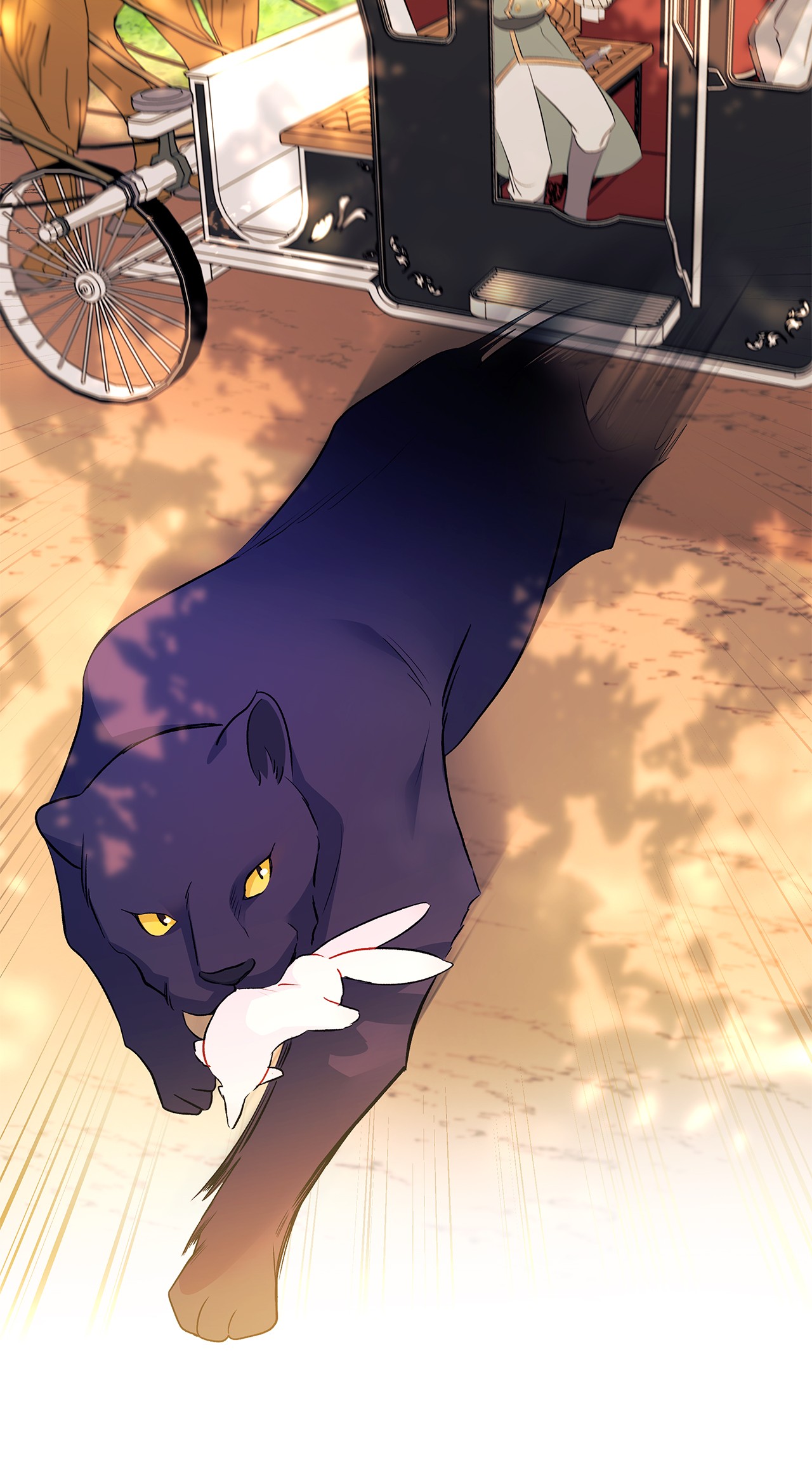 兔子与黑豹的共生关系29 我这么柔弱