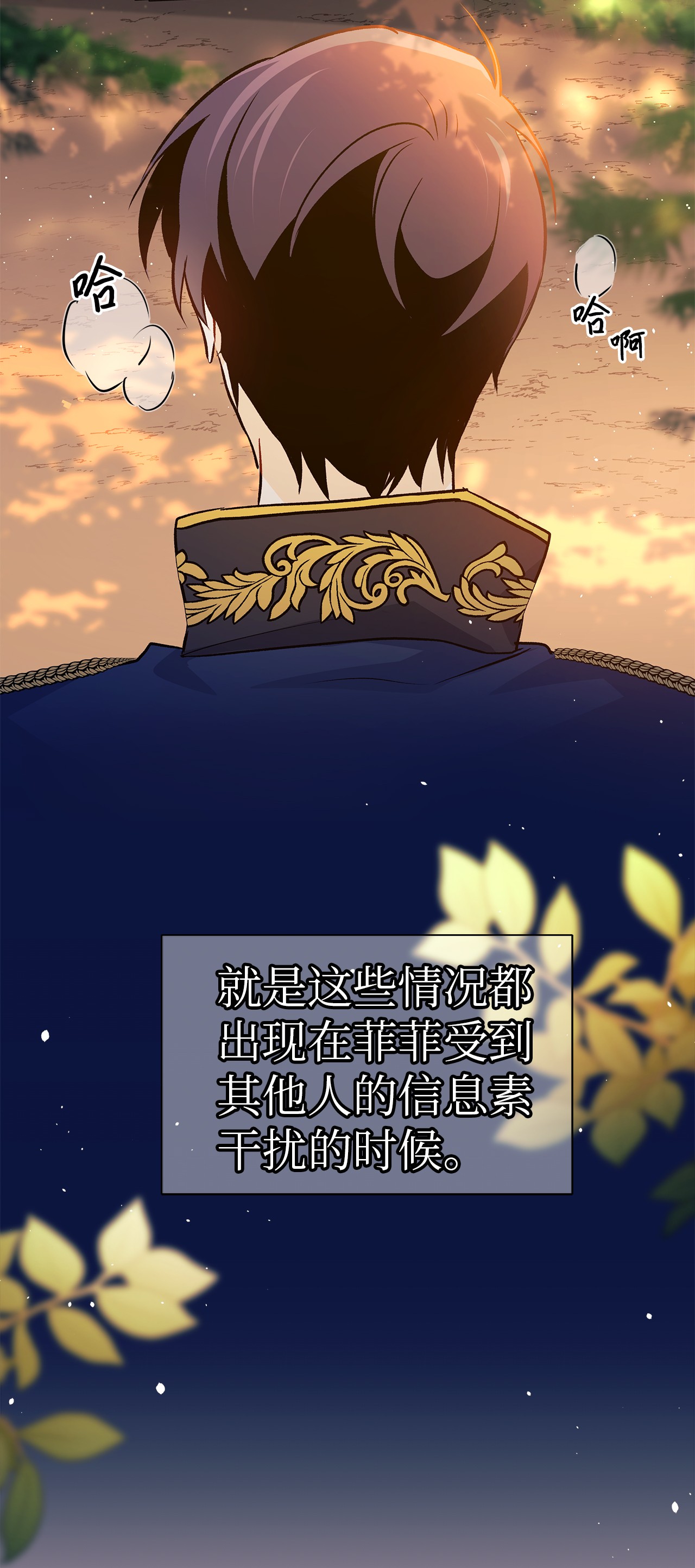 兔子与黑豹的共生关系29 我这么柔弱