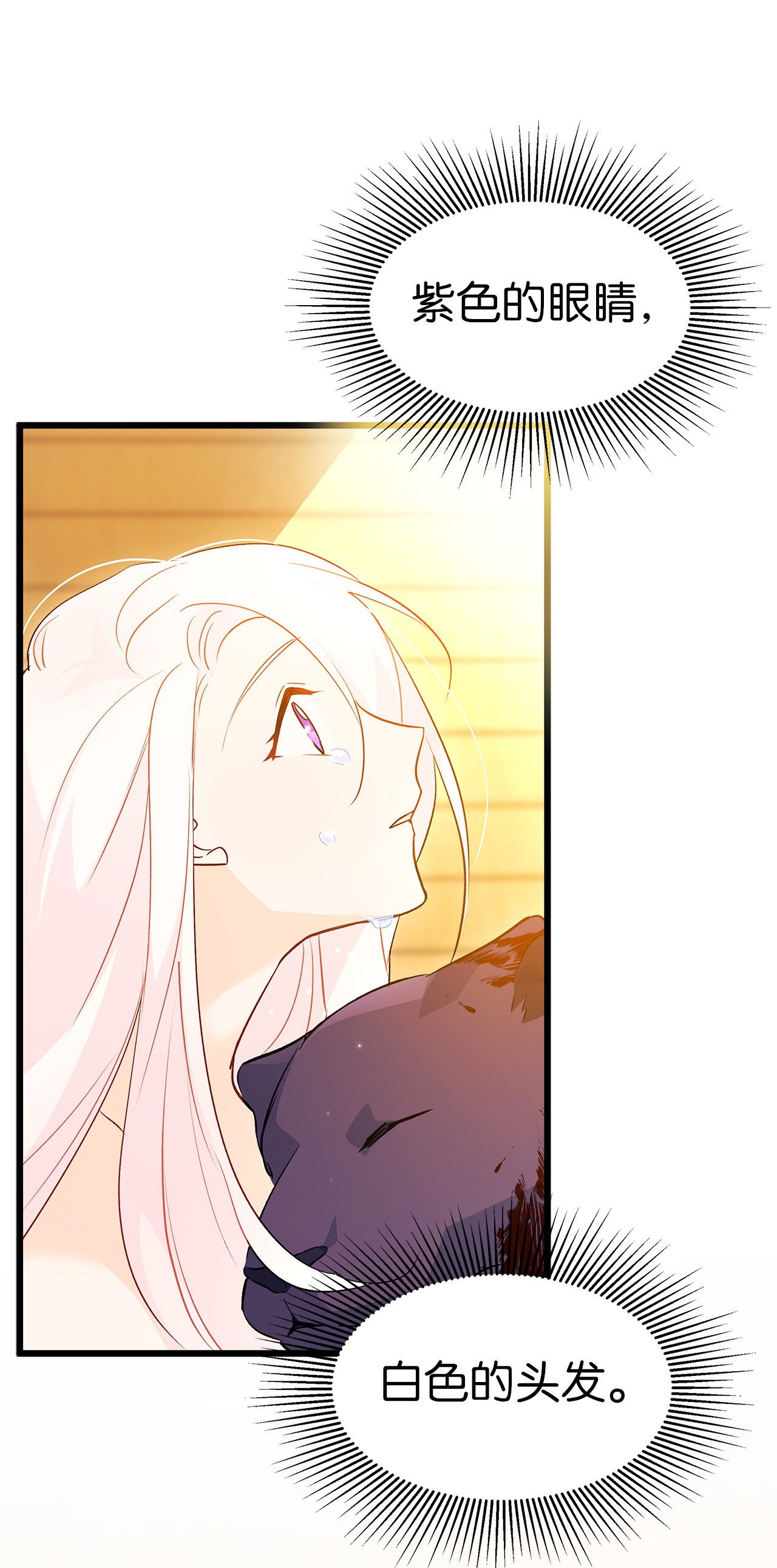 兔子与黑豹的共生关系29 我这么柔弱