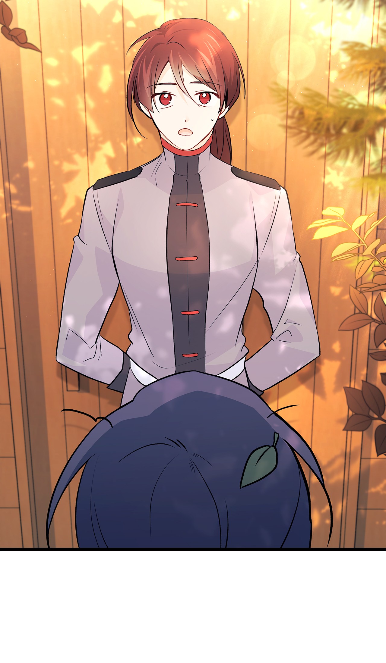 兔子与黑豹的共生关系31 被咬了