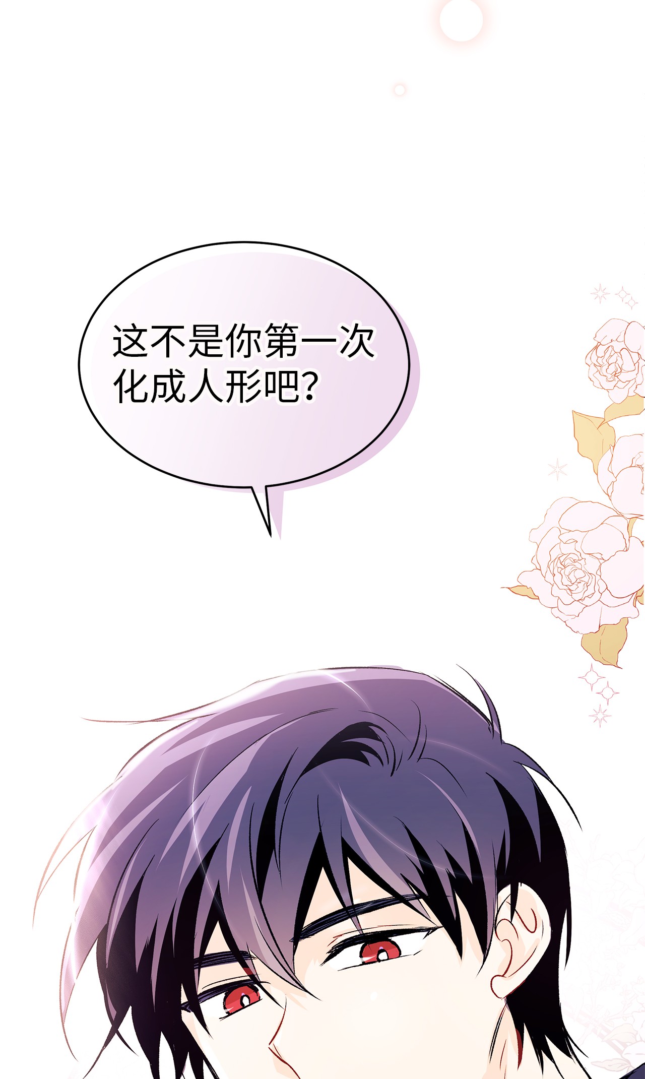 兔子与黑豹的共生关系31 被咬了