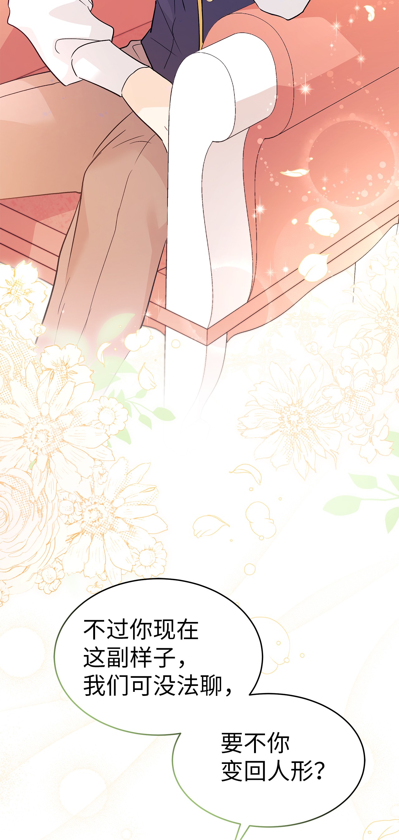 兔子与黑豹的共生关系32 狮与兔的会谈