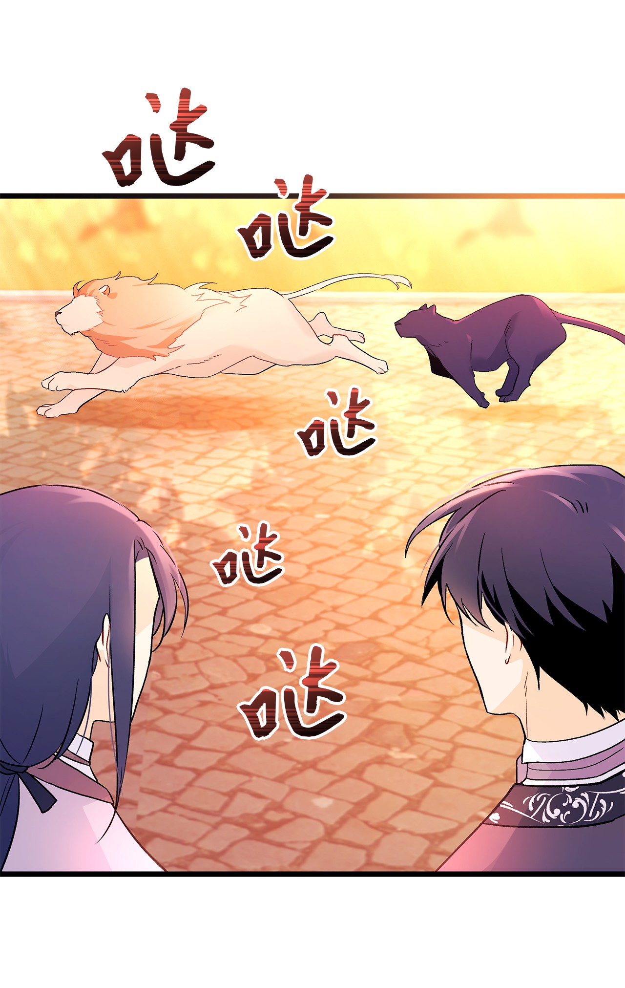 兔子与黑豹的共生关系33 快追啊！