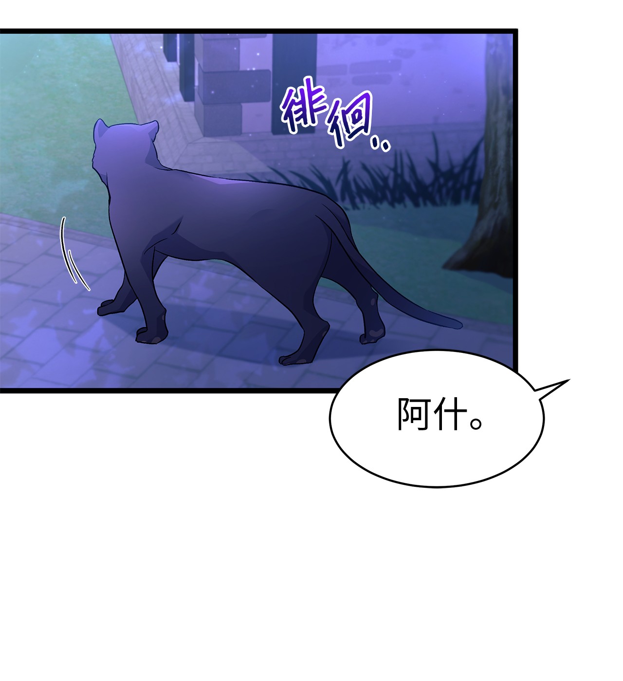 兔子与黑豹的共生关系34 他在装怂