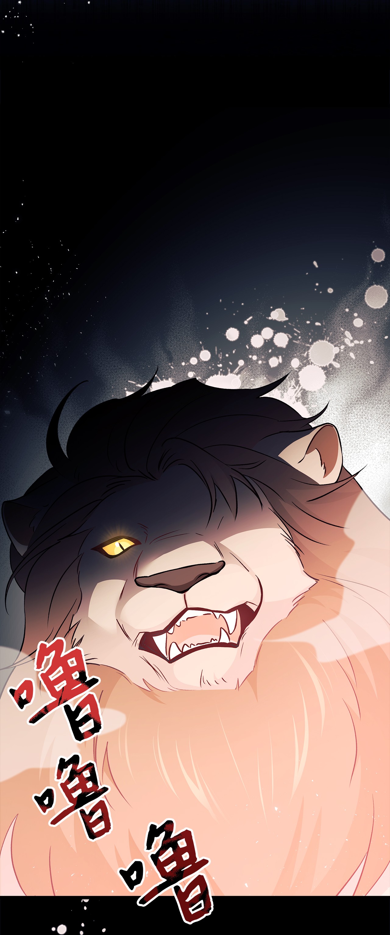 兔子与黑豹的共生关系34 他在装怂