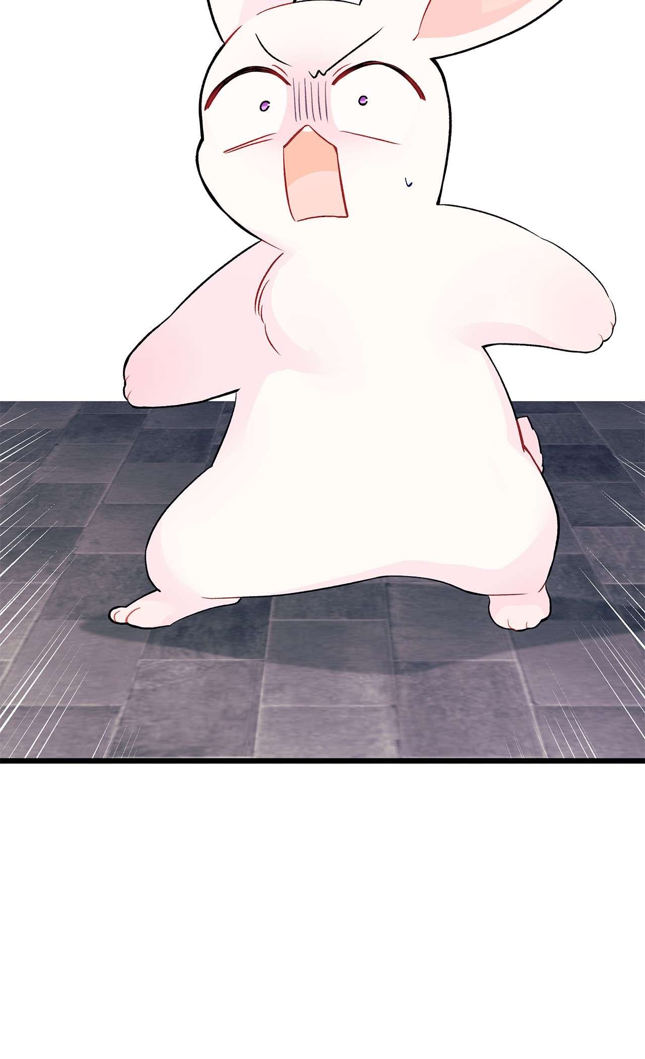 兔子与黑豹的共生关系35 逼王黑豹