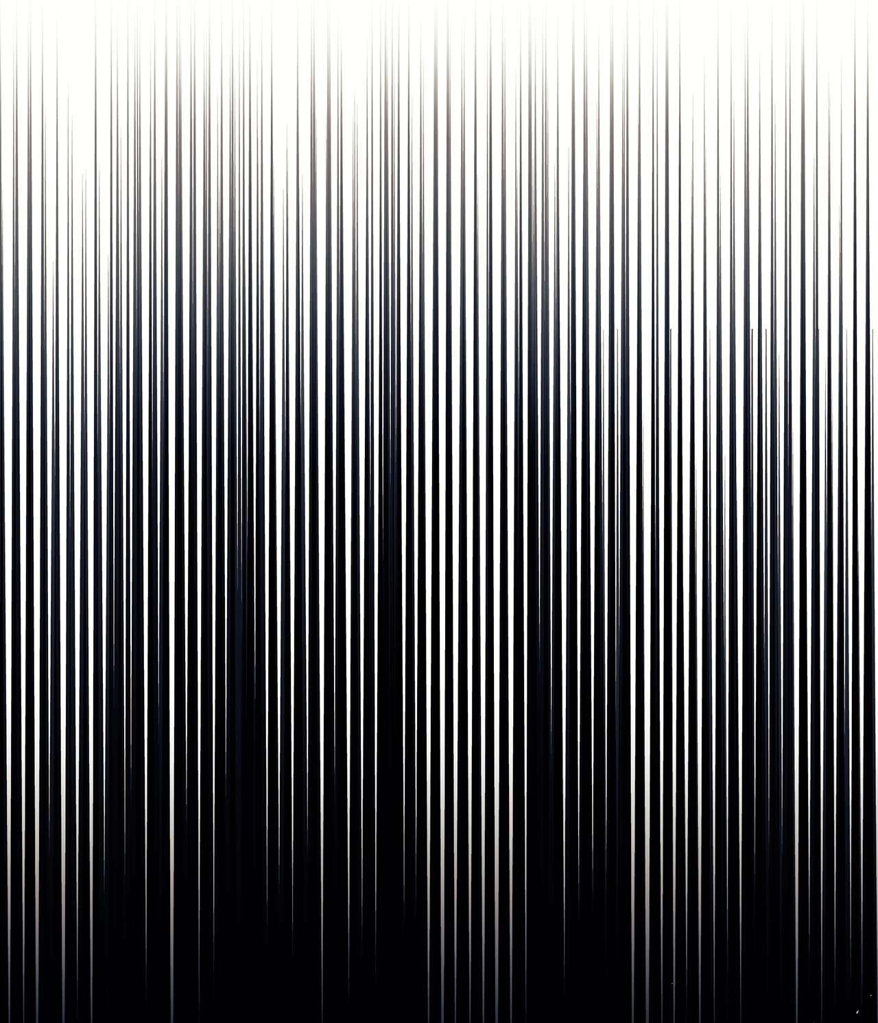 兔子与黑豹的共生关系36 友善的猩猩