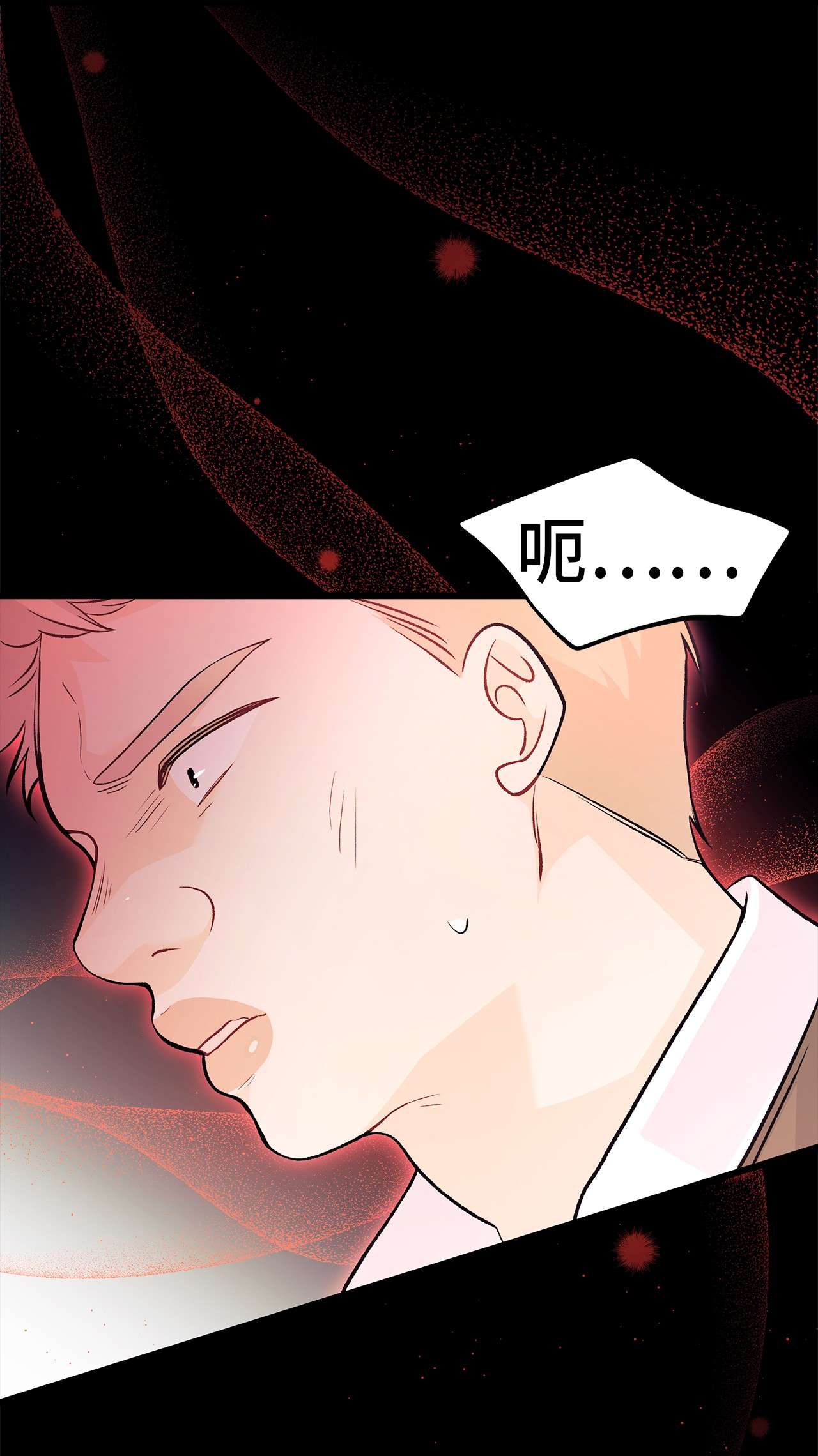 兔子与黑豹的共生关系38 亚希喵