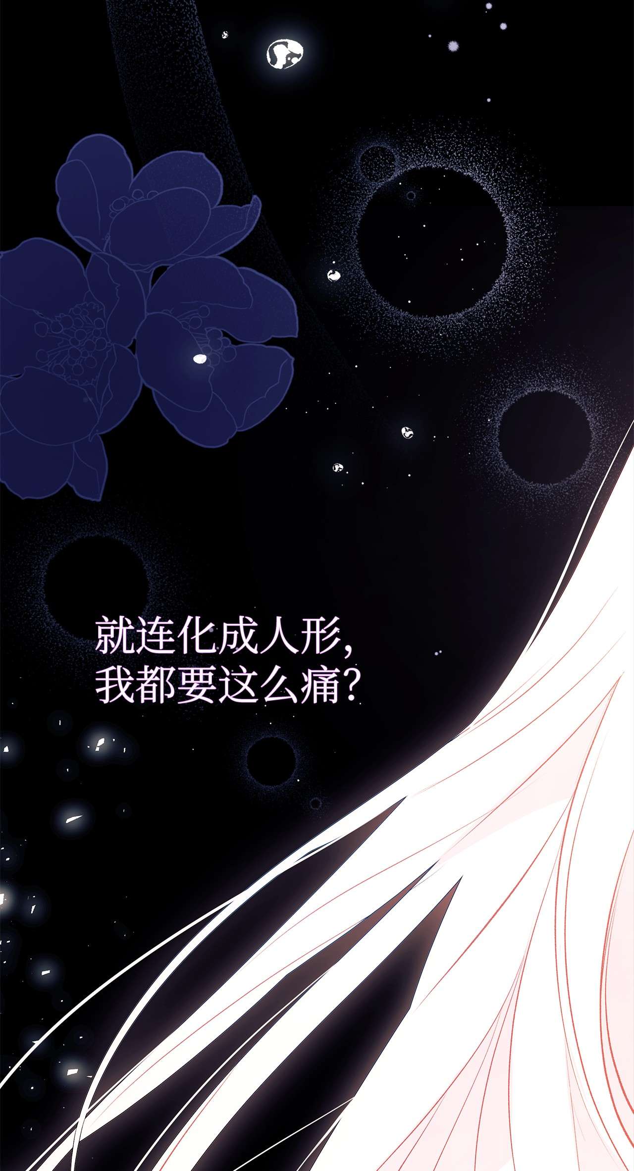 兔子与黑豹的共生关系39 咬以外的方式