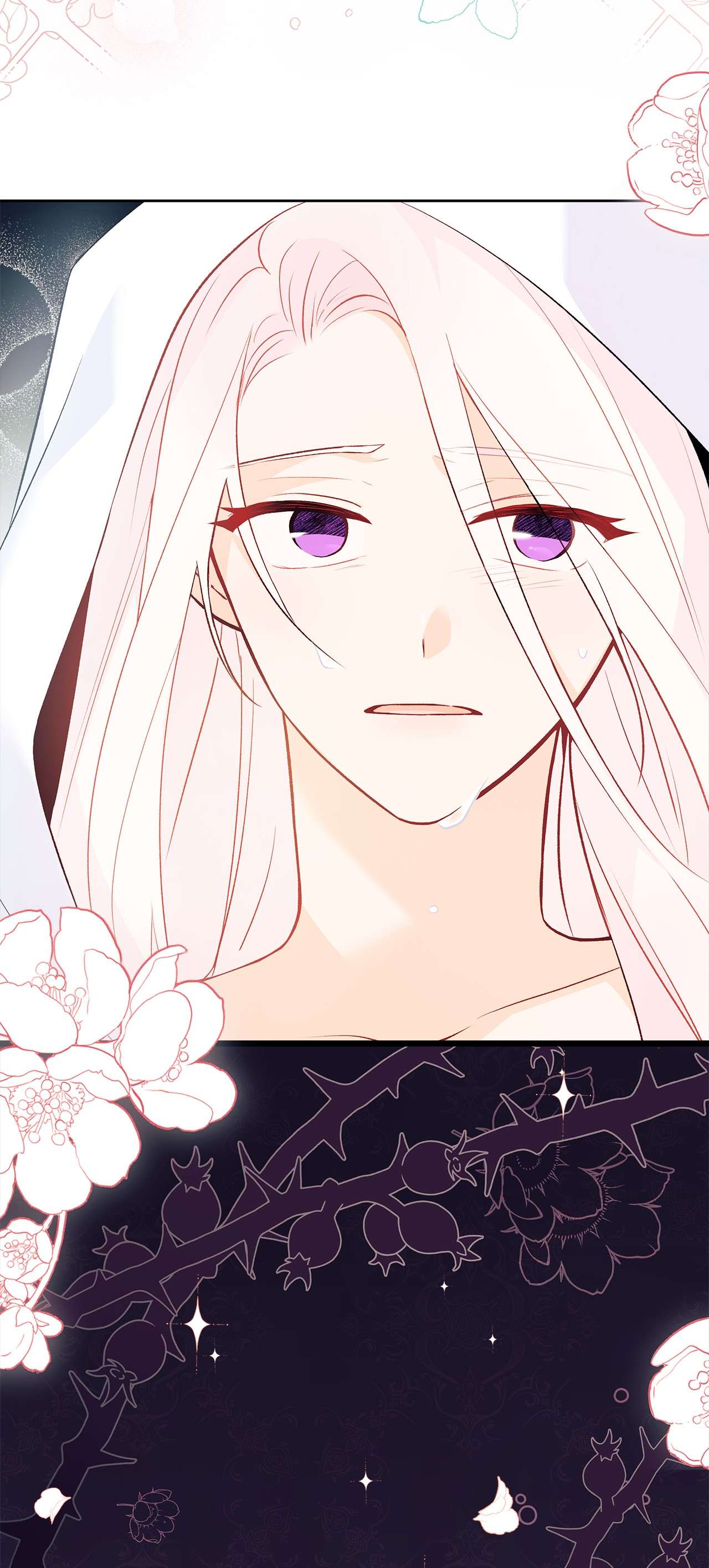 兔子与黑豹的共生关系39 咬以外的方式