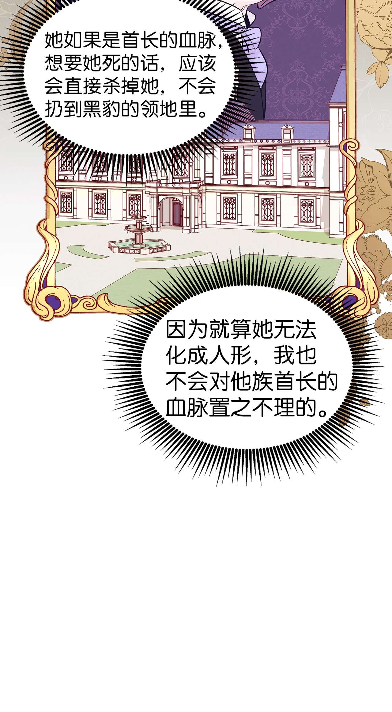 兔子与黑豹的共生关系40 支配系
