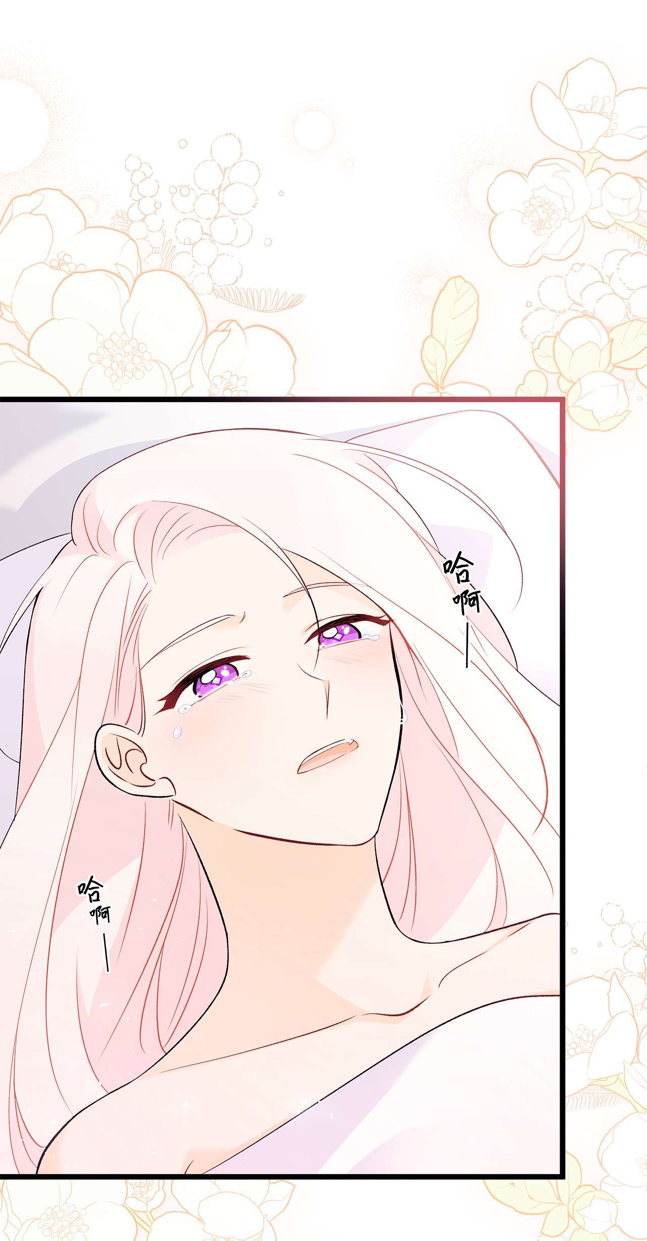 兔子与黑豹的共生关系40 支配系