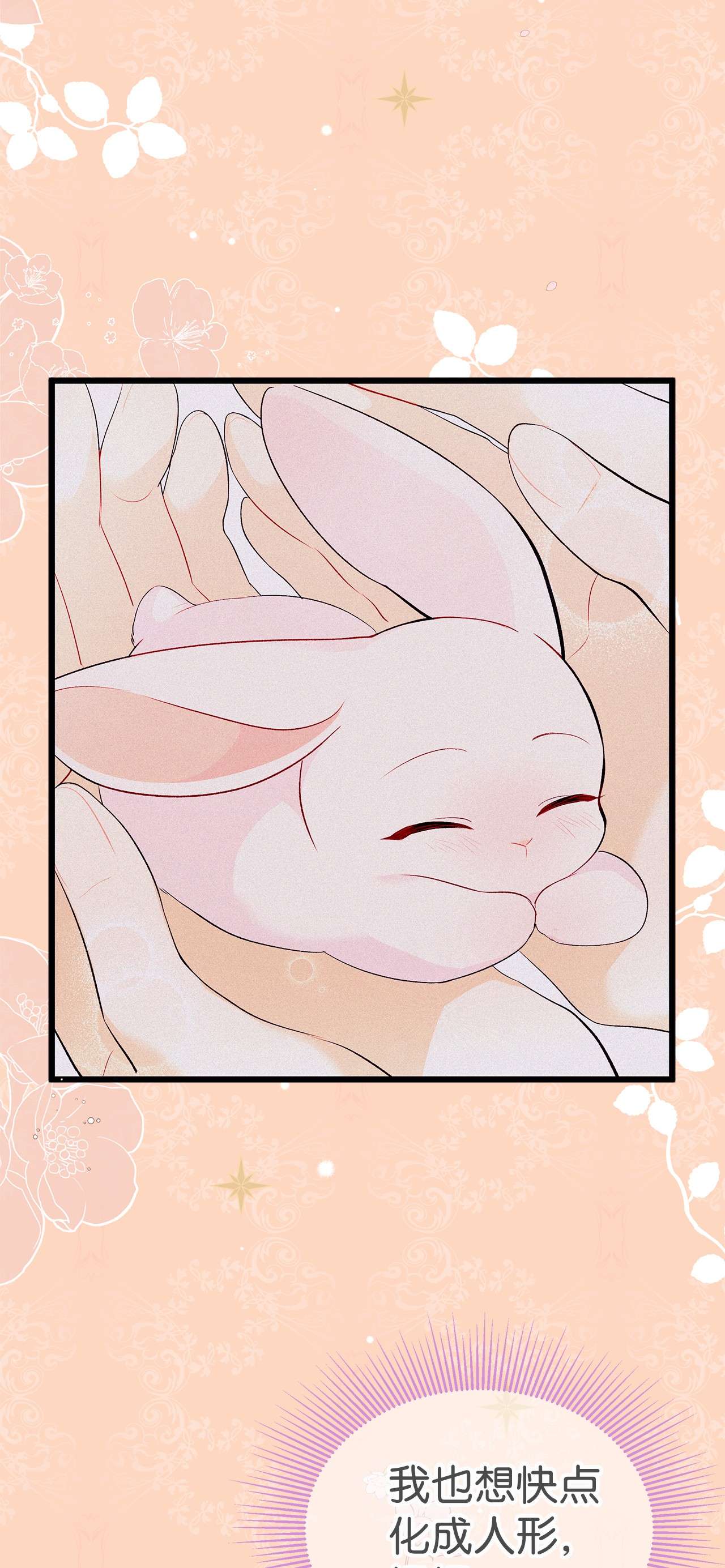 兔子与黑豹的共生关系41 黑豹喜提新帽