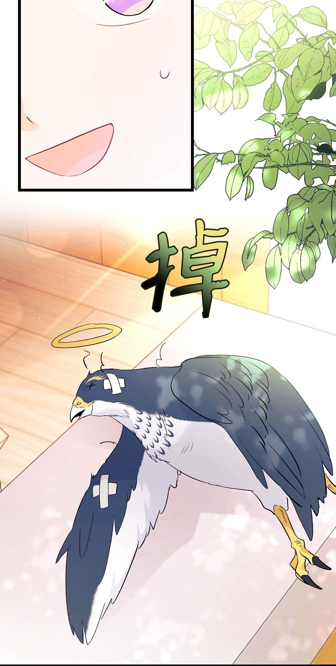 兔子与黑豹的共生关系41 黑豹喜提新帽