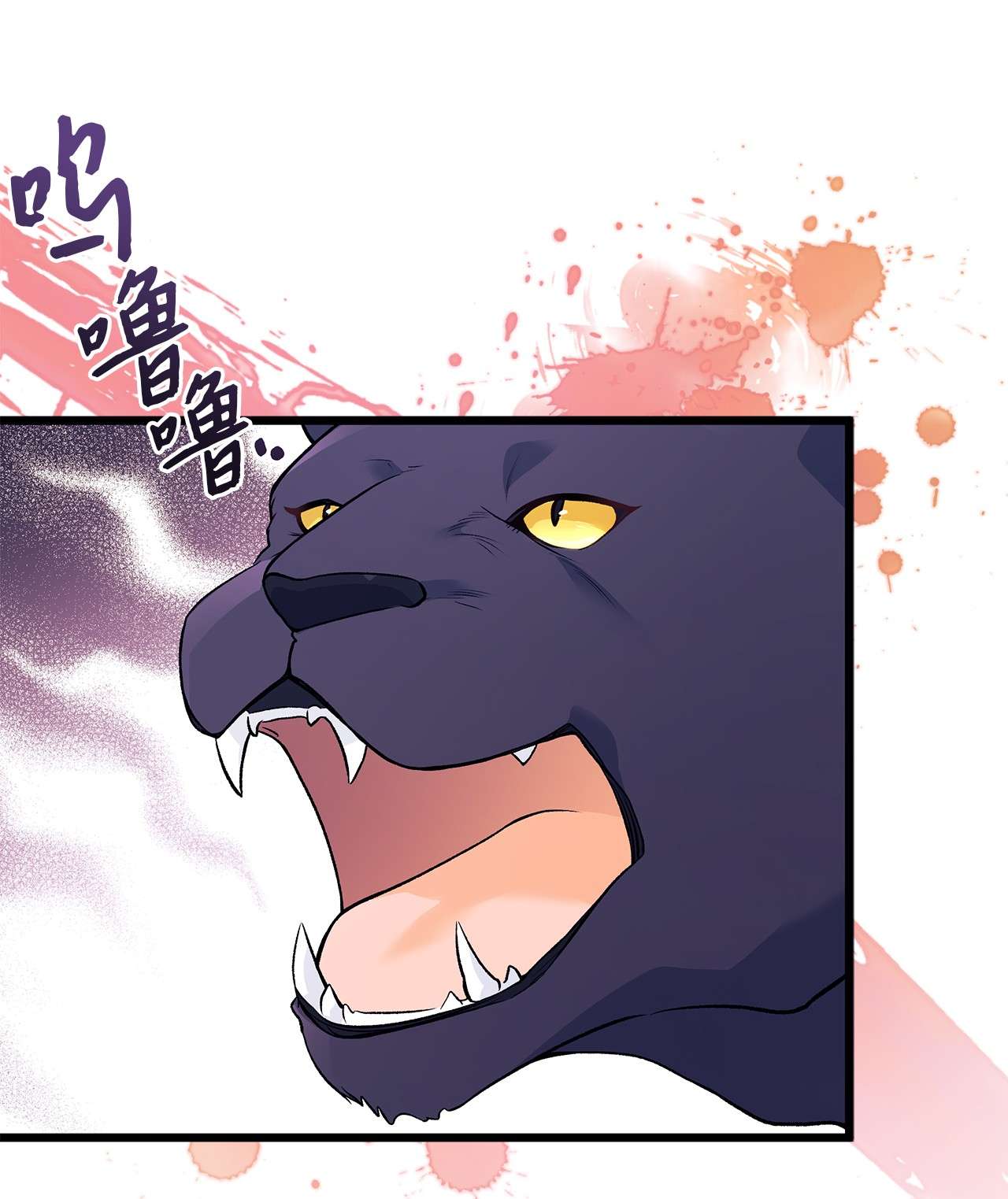 兔子与黑豹的共生关系41 黑豹喜提新帽