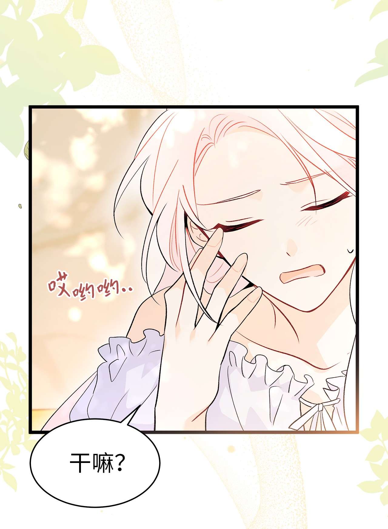 兔子与黑豹的共生关系41 黑豹喜提新帽