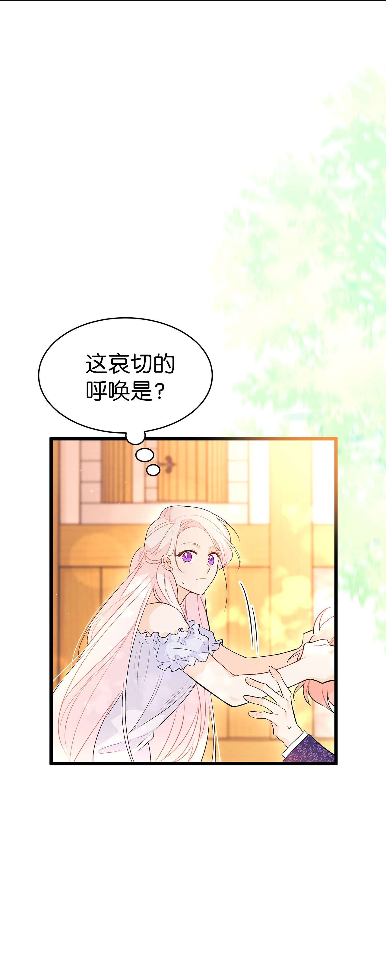 兔子与黑豹的共生关系42 这头狮子坏得很