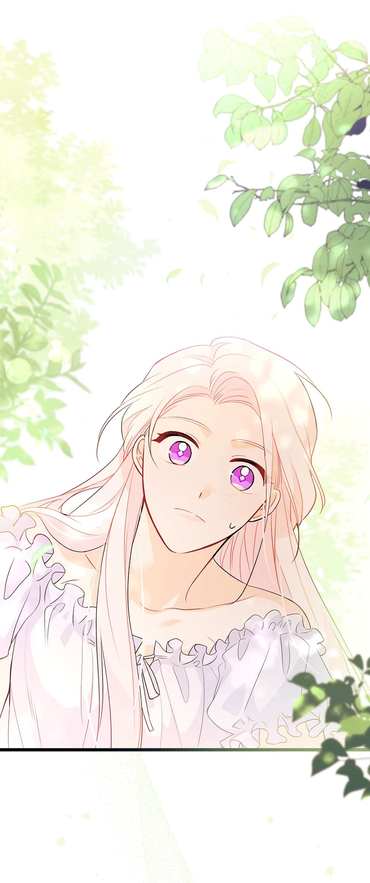 兔子与黑豹的共生关系42 这头狮子坏得很