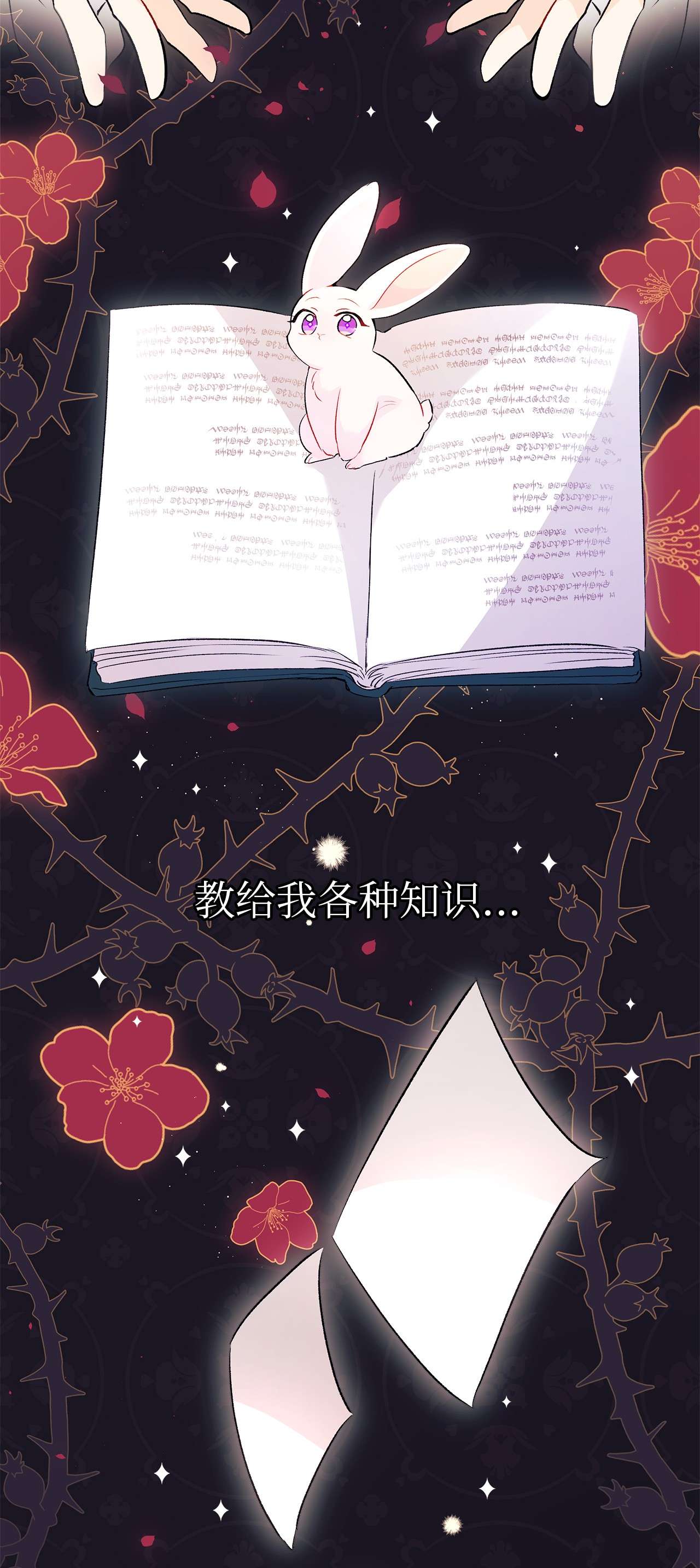 兔子与黑豹的共生关系43 异样的情绪