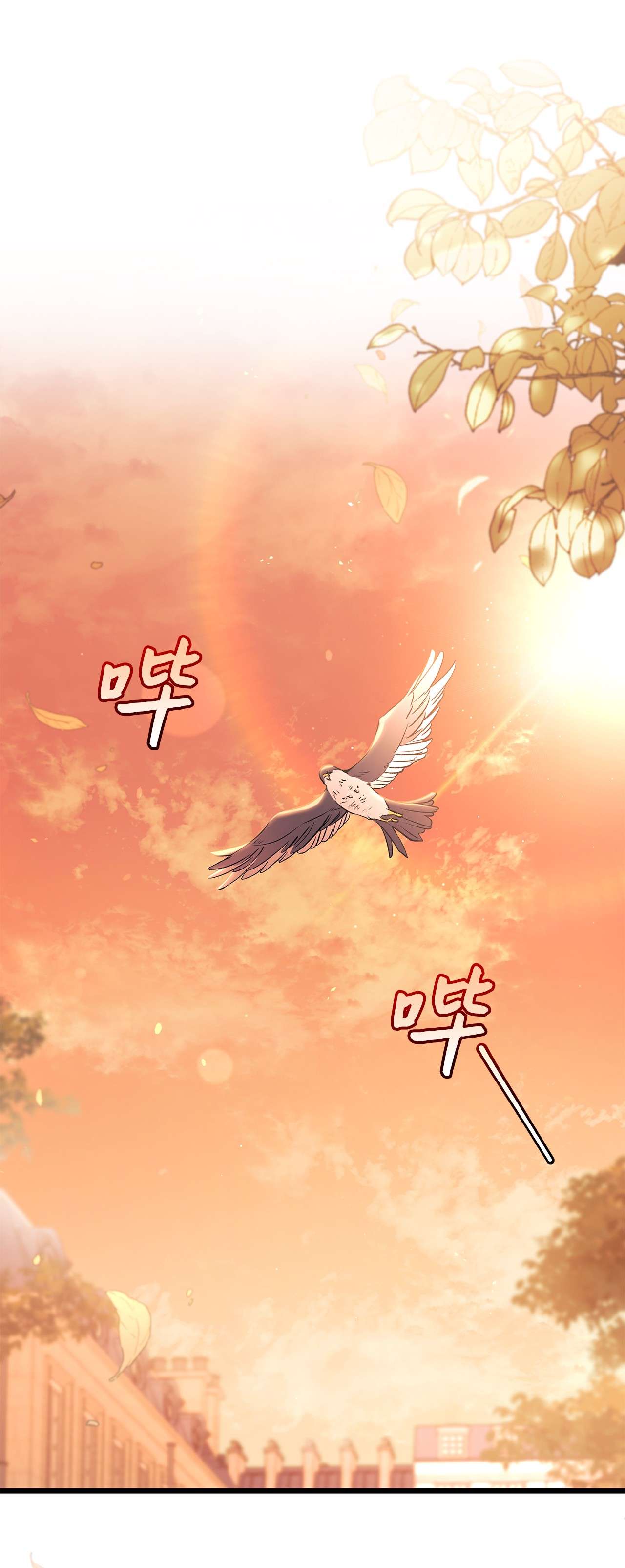 兔子与黑豹的共生关系44 你好呀