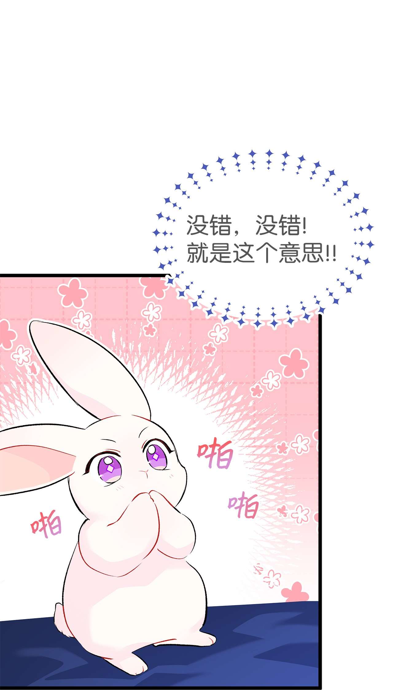 兔子与黑豹的共生关系46 不可以涩涩