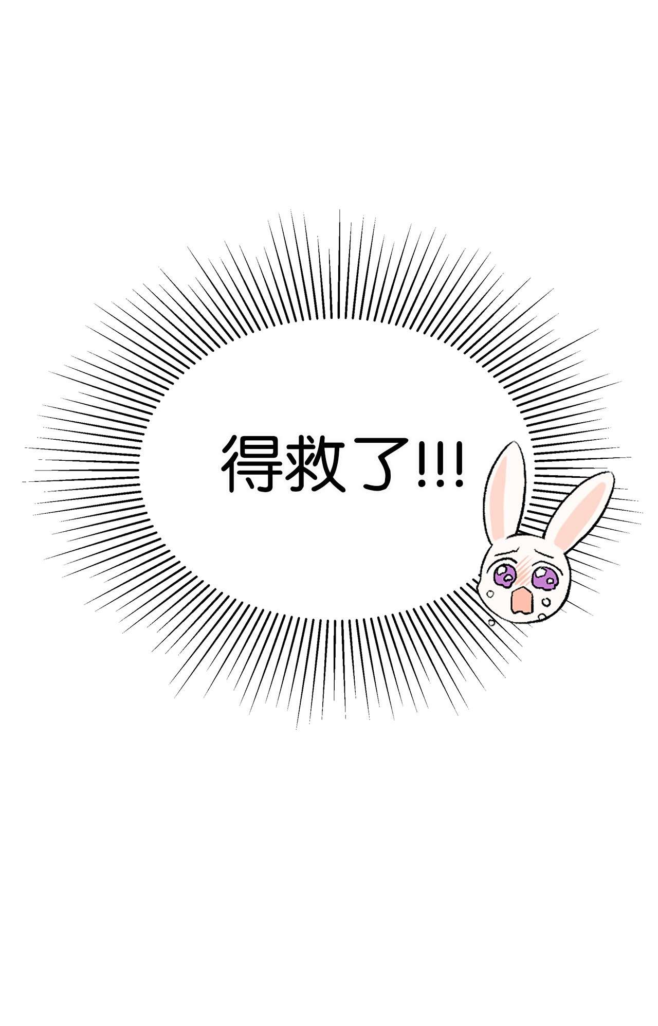 兔子与黑豹的共生关系48 这种心情叫恋爱