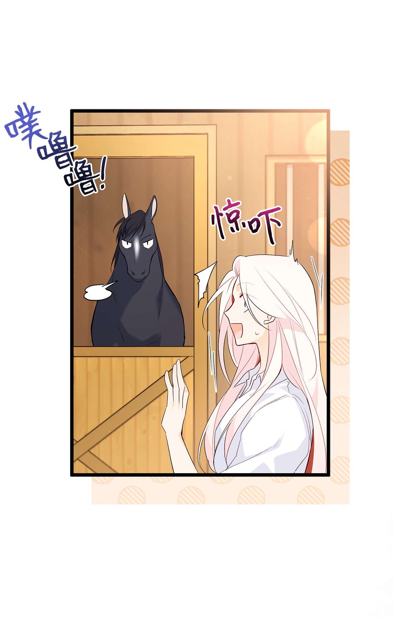 兔子与黑豹的共生关系49 宠物都像主人