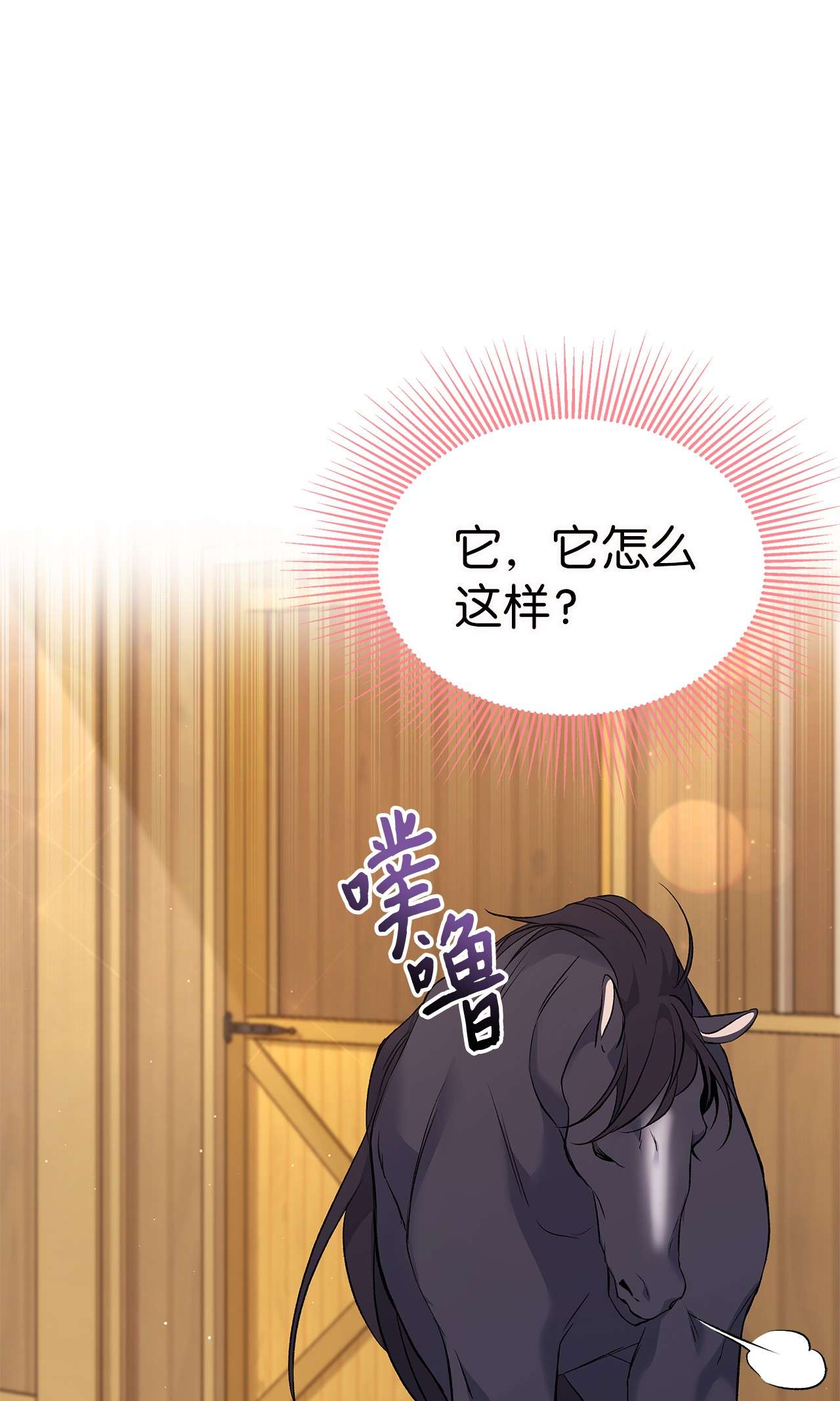 兔子与黑豹的共生关系49 宠物都像主人