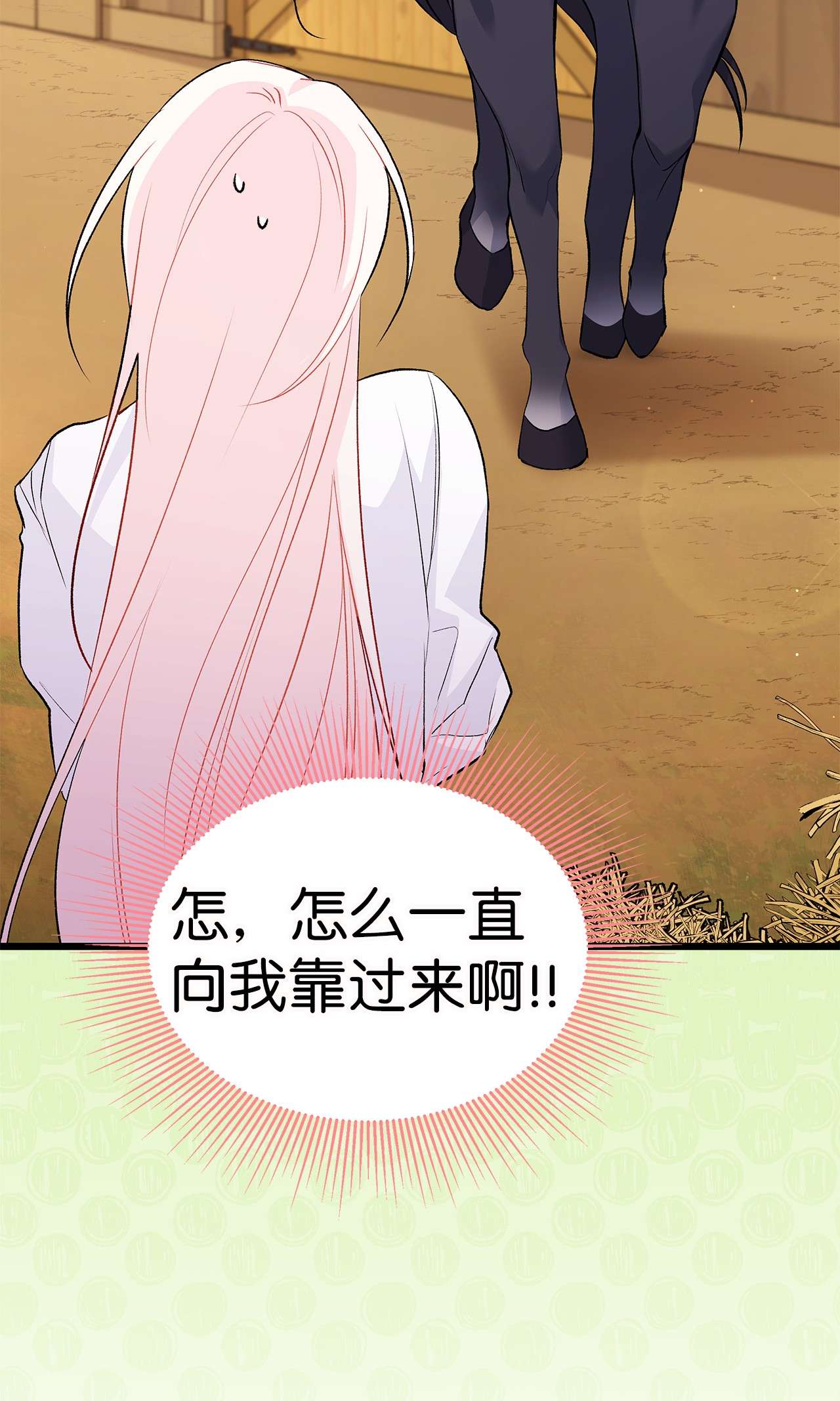 兔子与黑豹的共生关系49 宠物都像主人