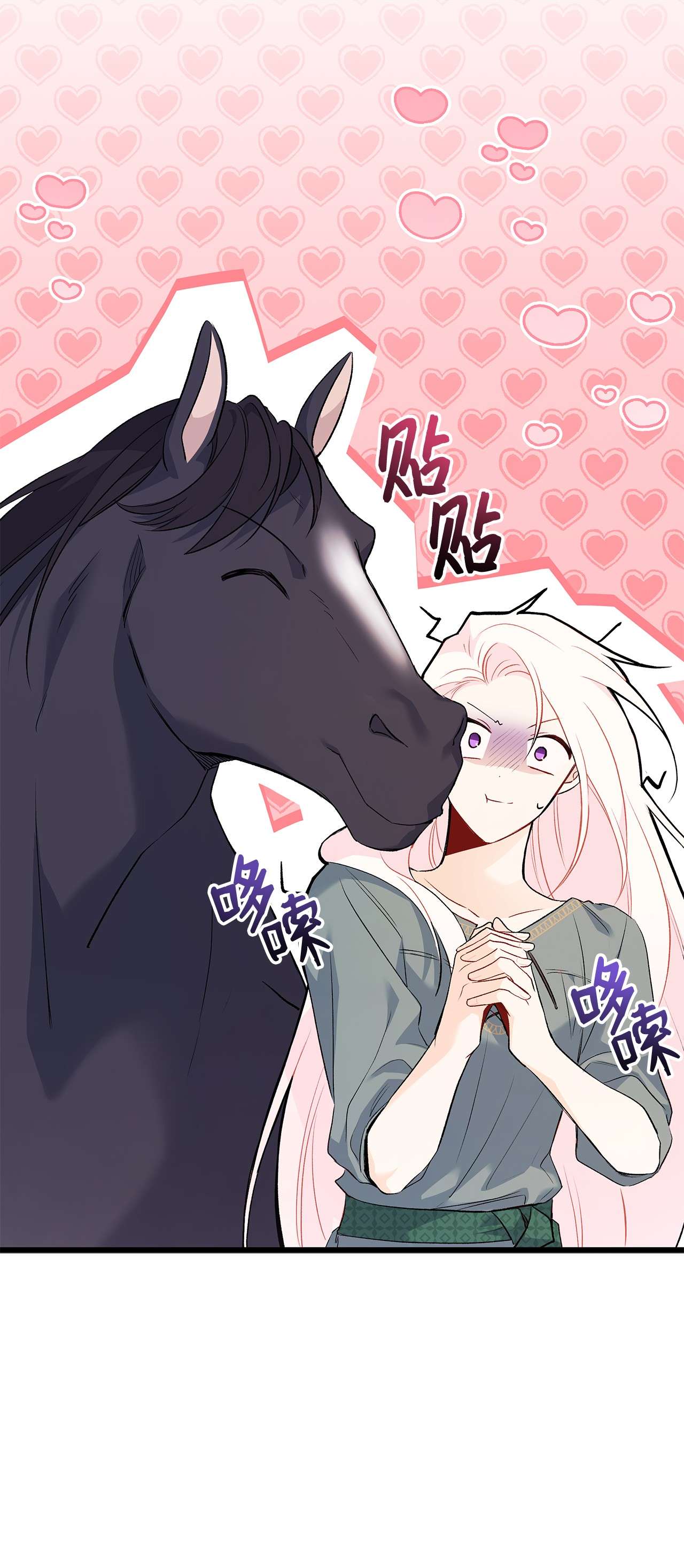 兔子与黑豹的共生关系49 宠物都像主人